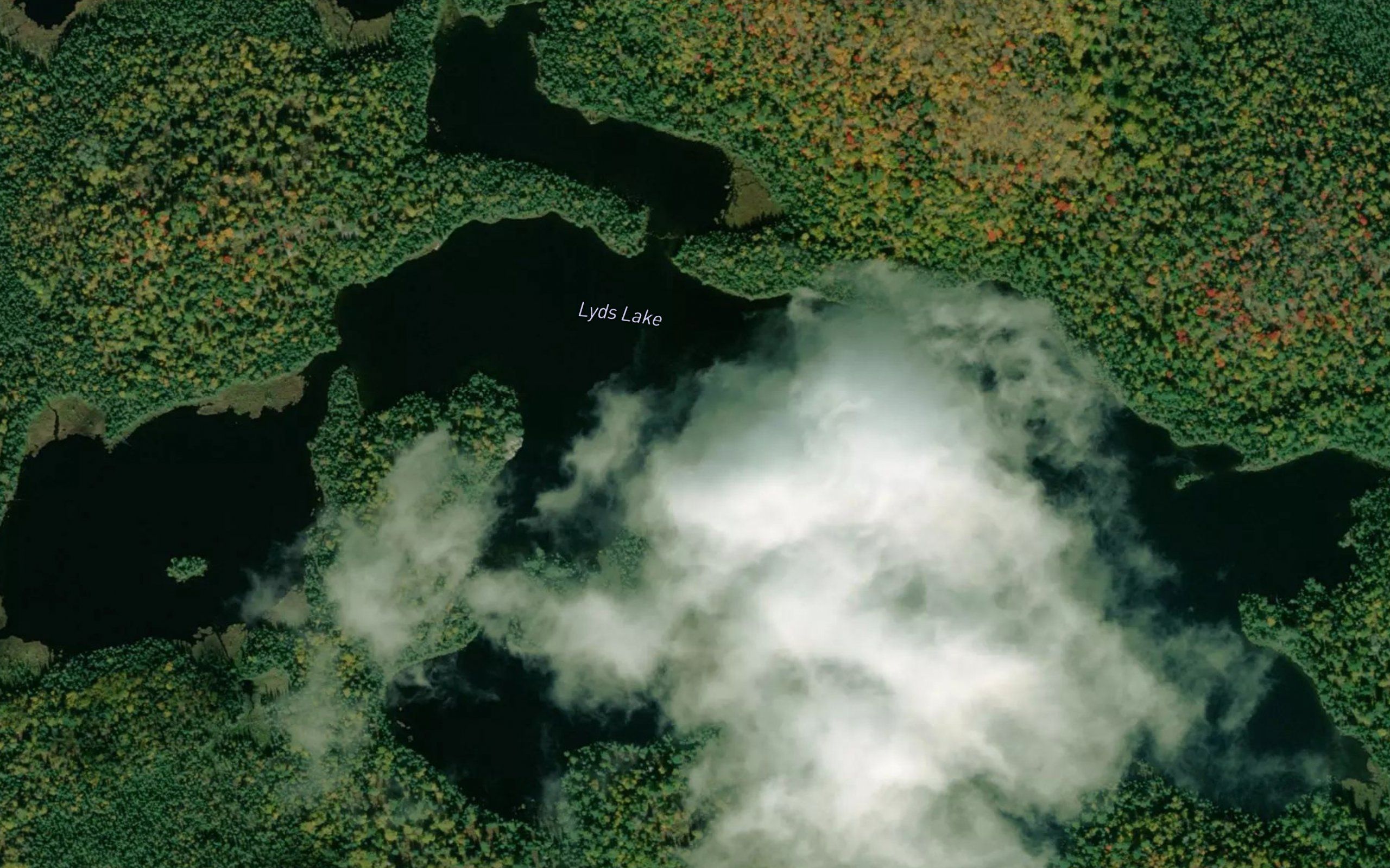 Lyds Lake