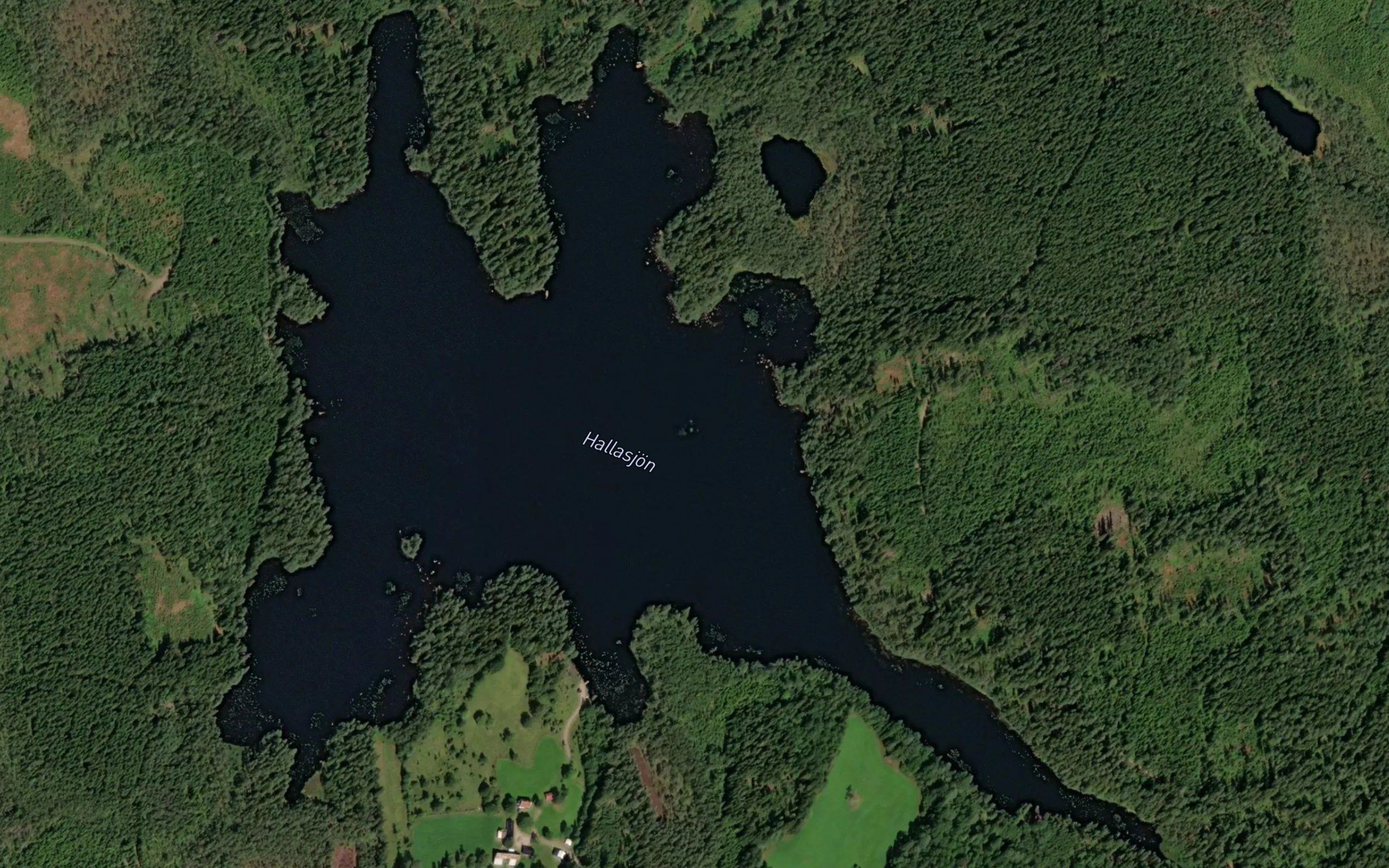 Hallasjoen