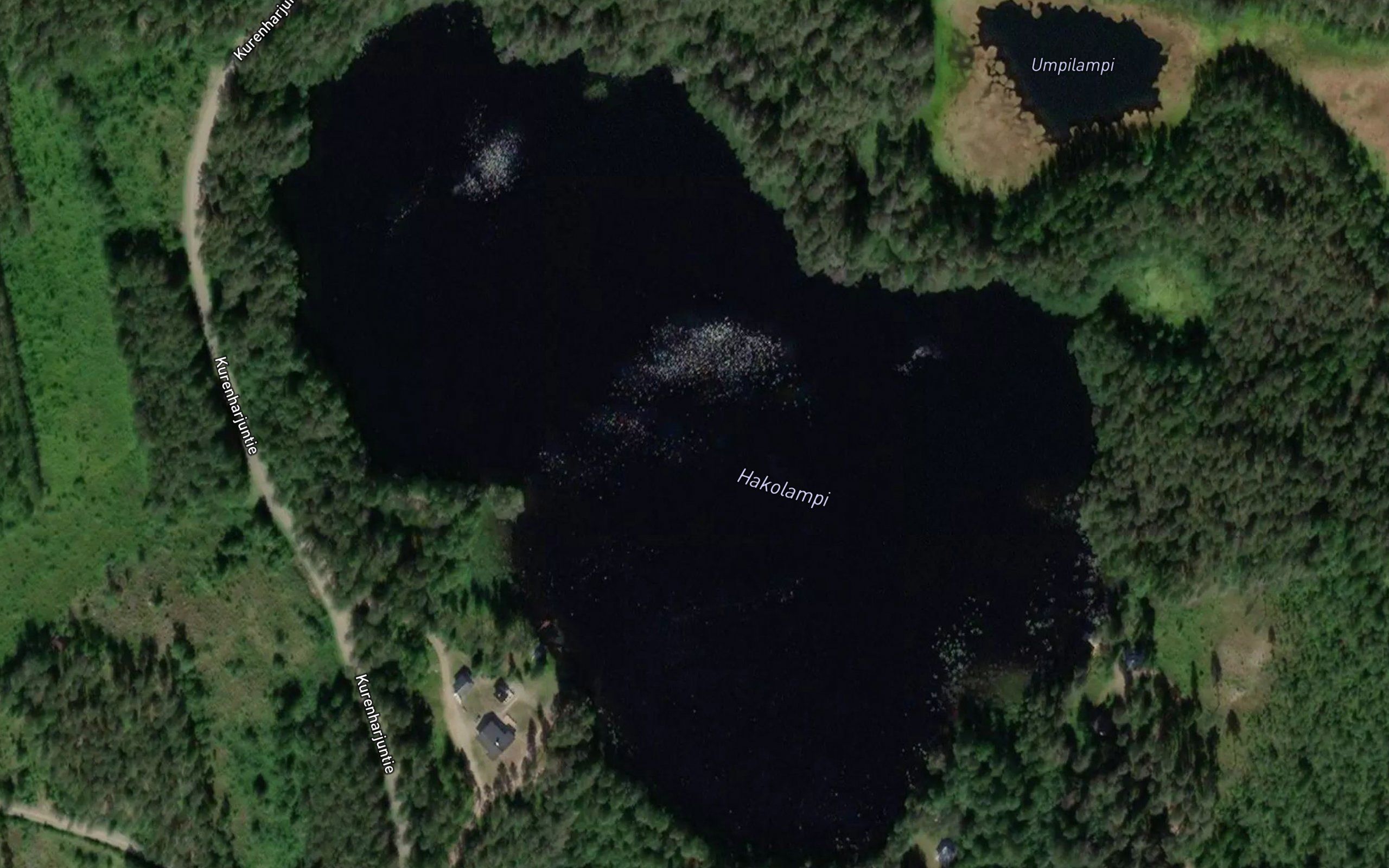 Hakolampi