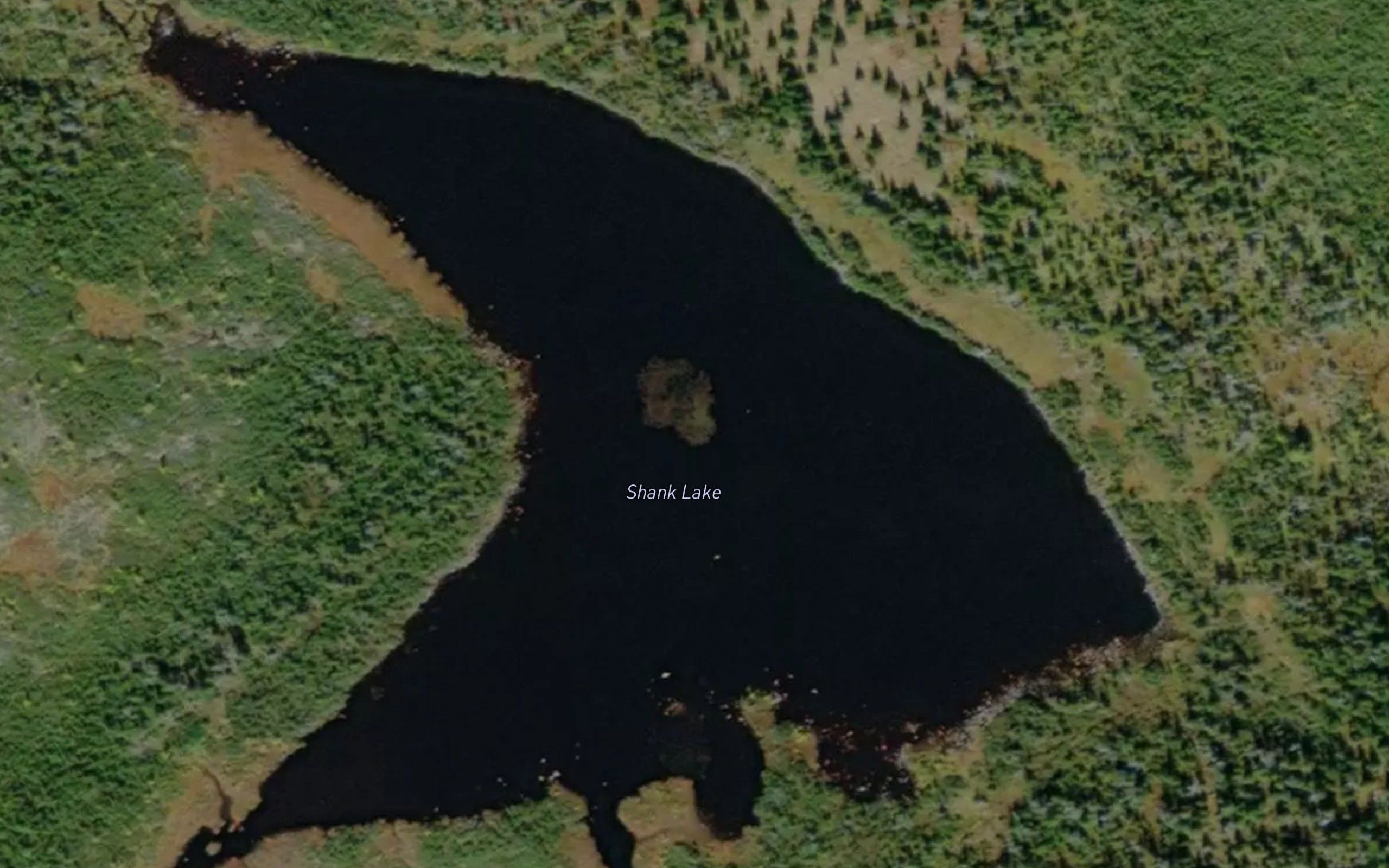 Shank Lake