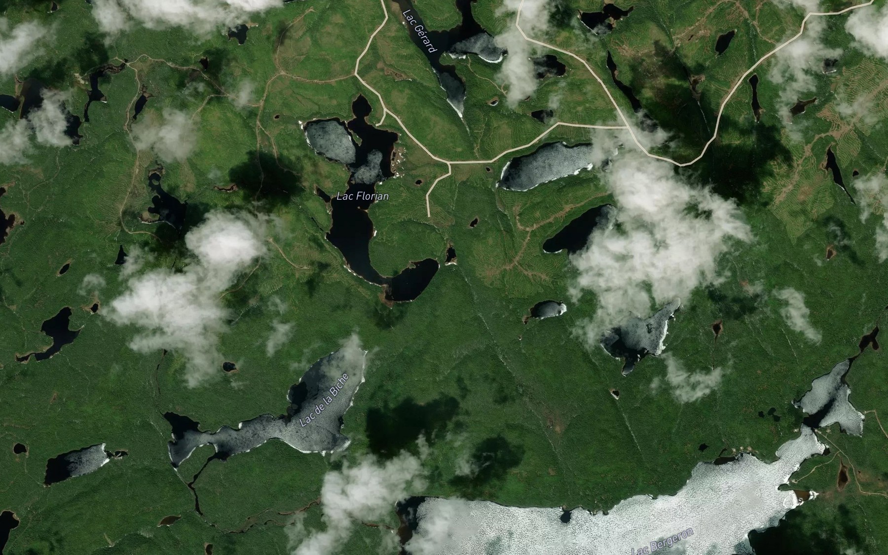 Satellite map of the Lac de la Becassine