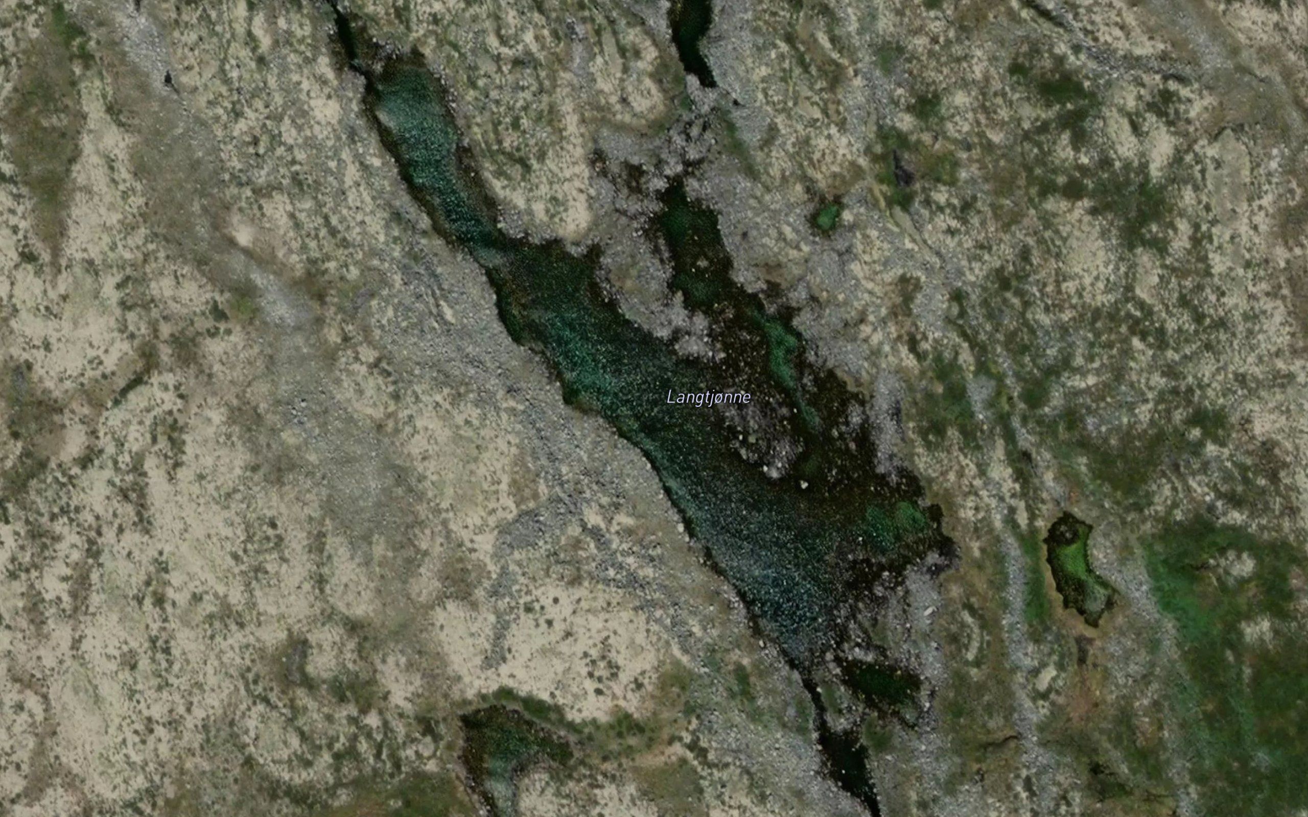 Langtjorni
