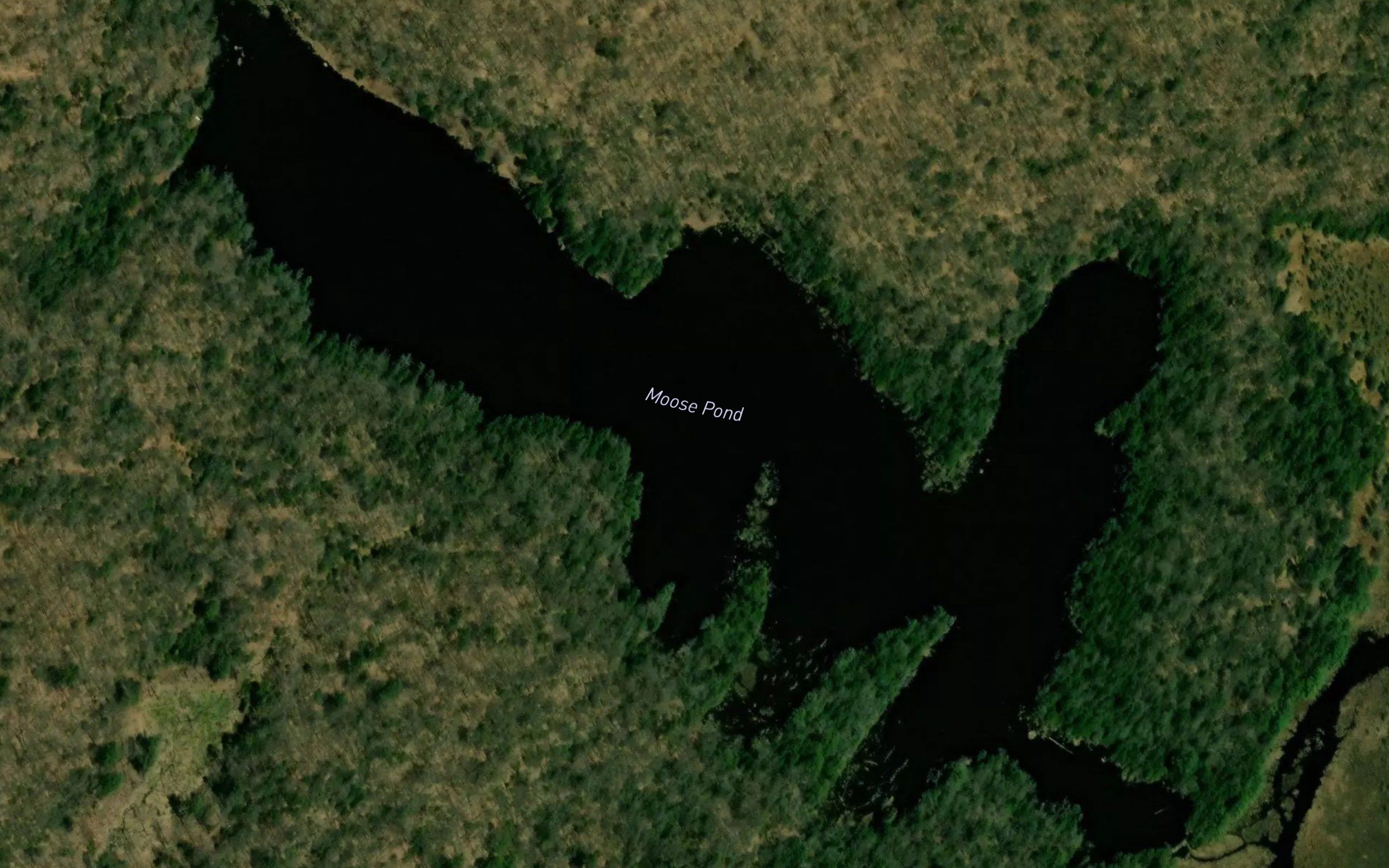 Moose Pond