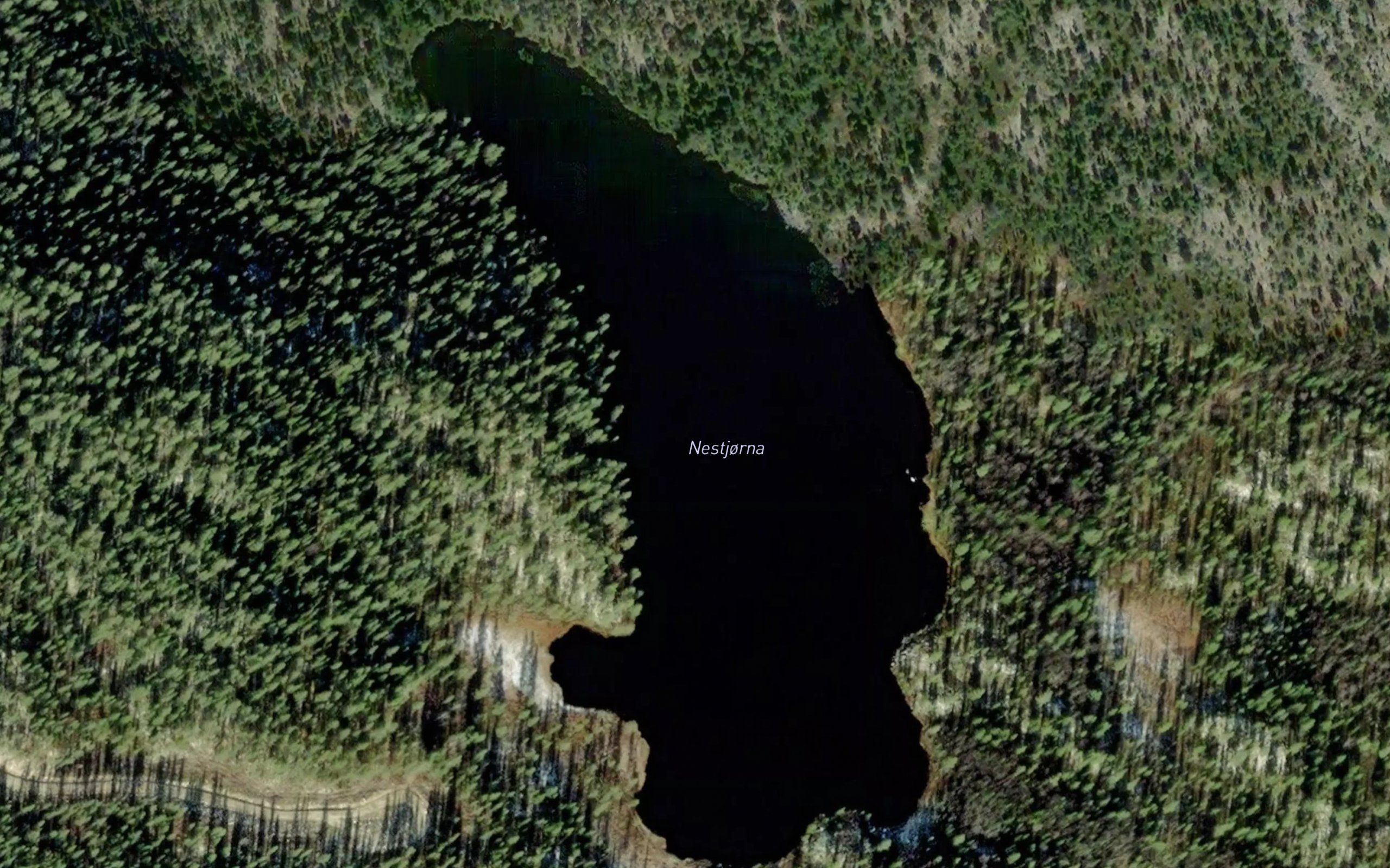 Nestjorna