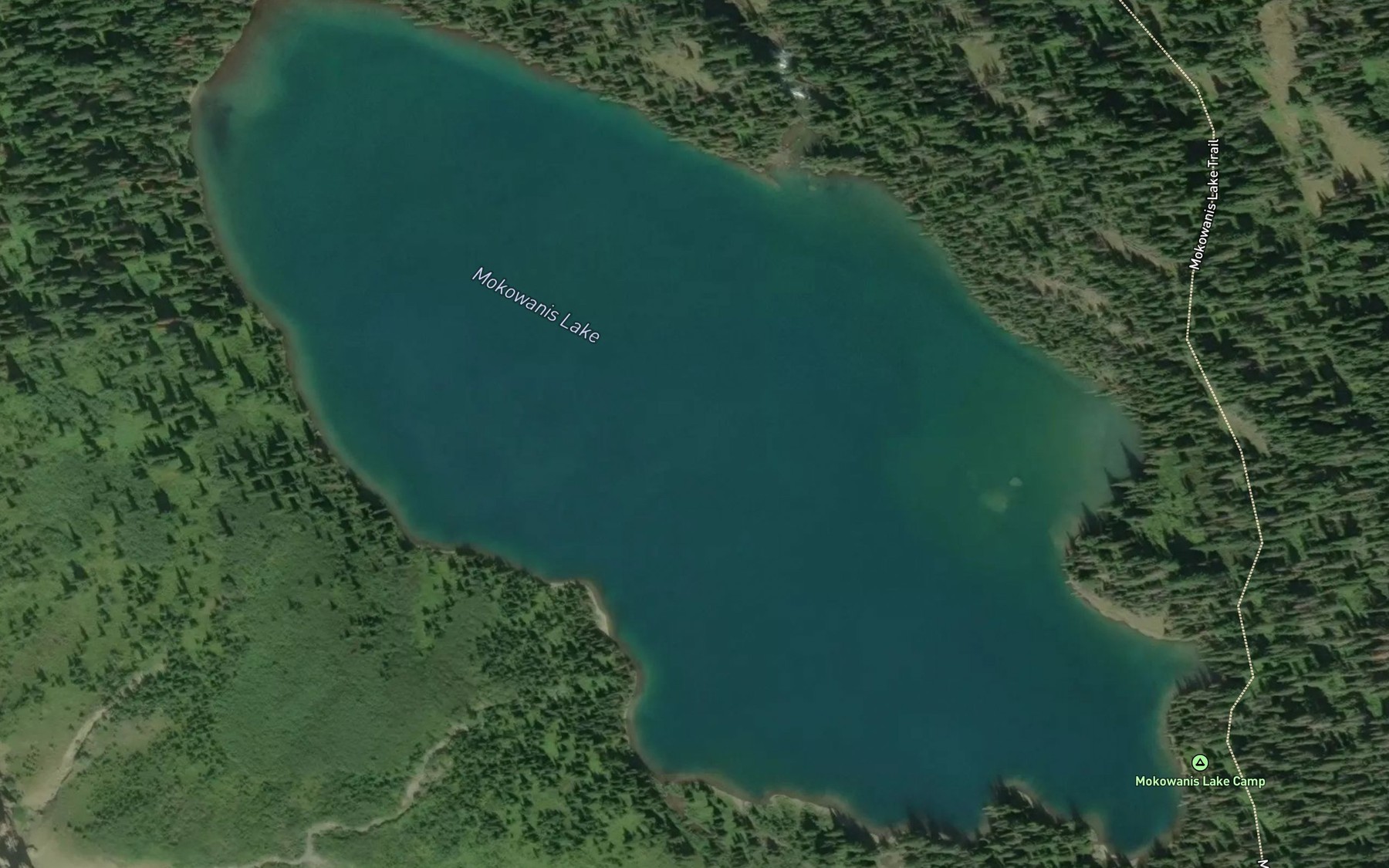 Satellite map of the Mokowanis Lake