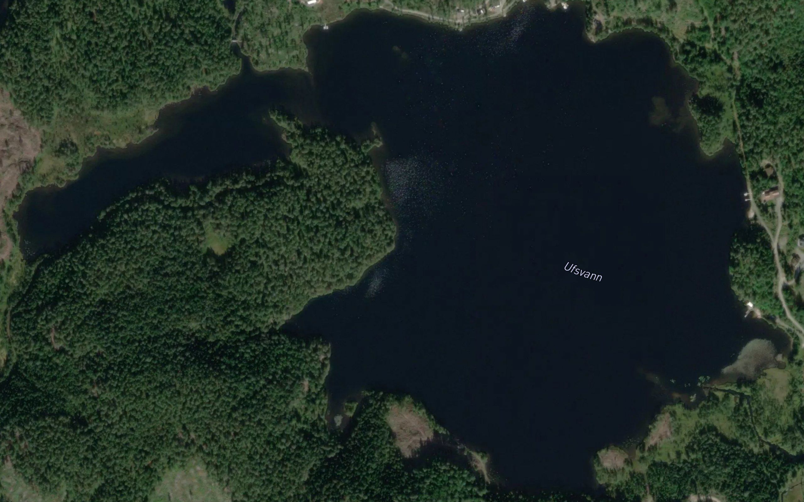 Ufsvann