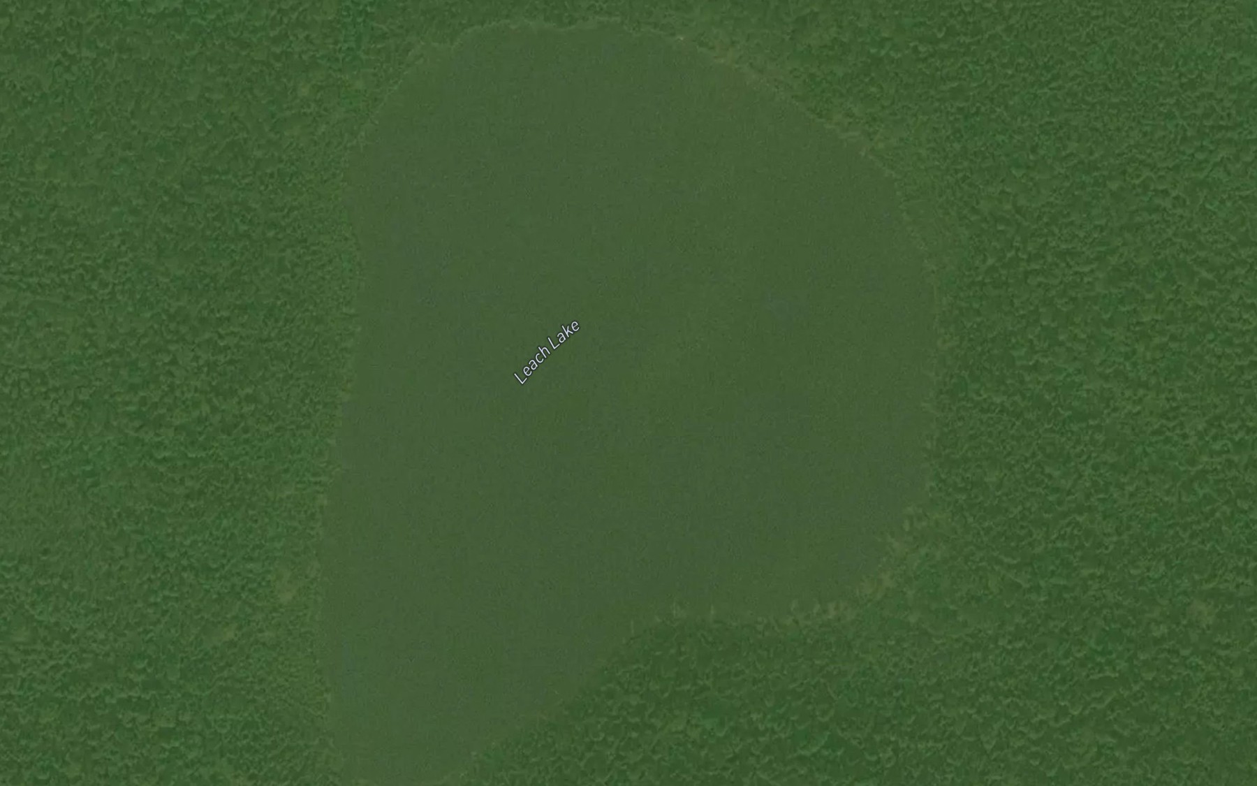 Satellite map of the Leach Lake