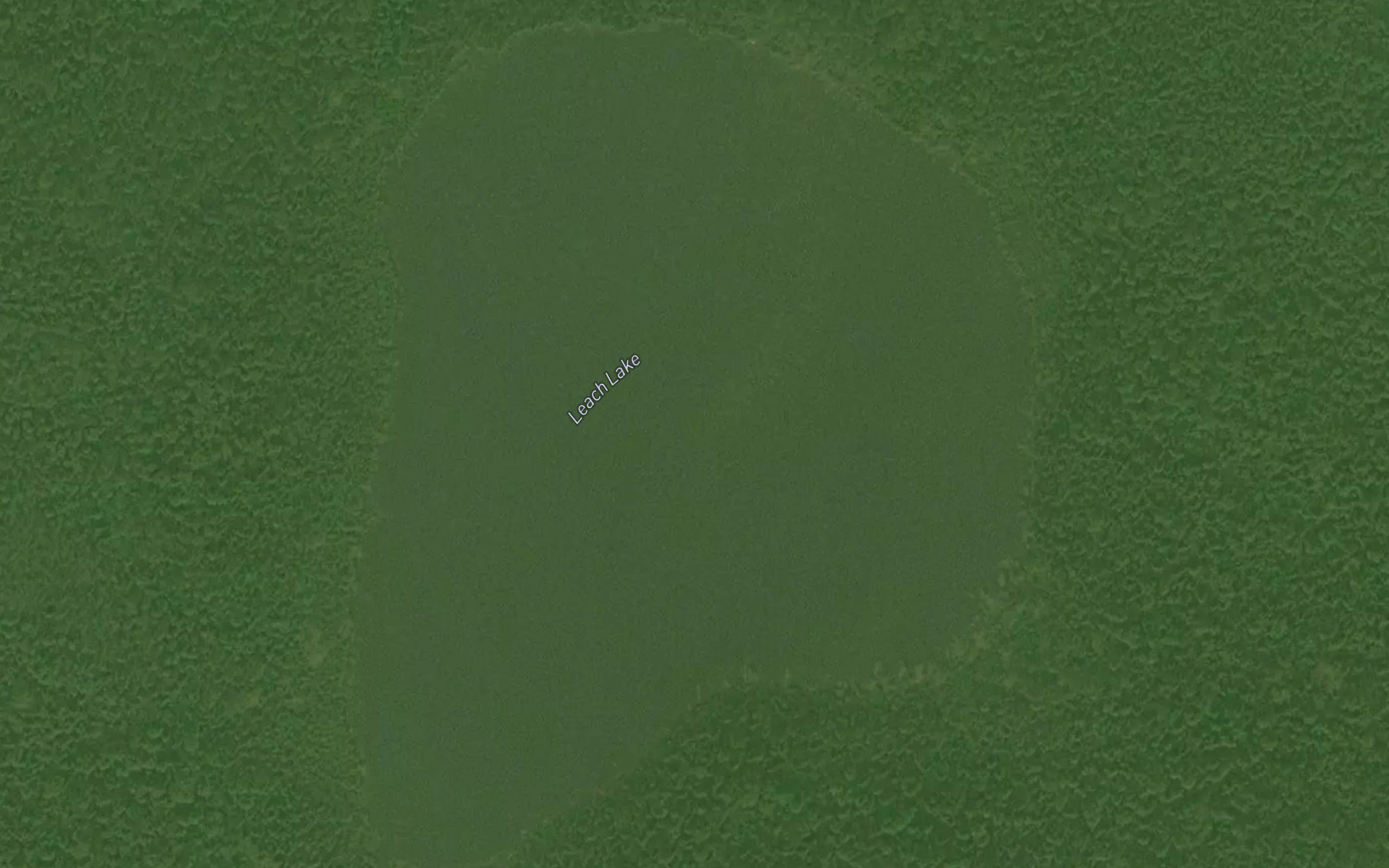 Leach Lake