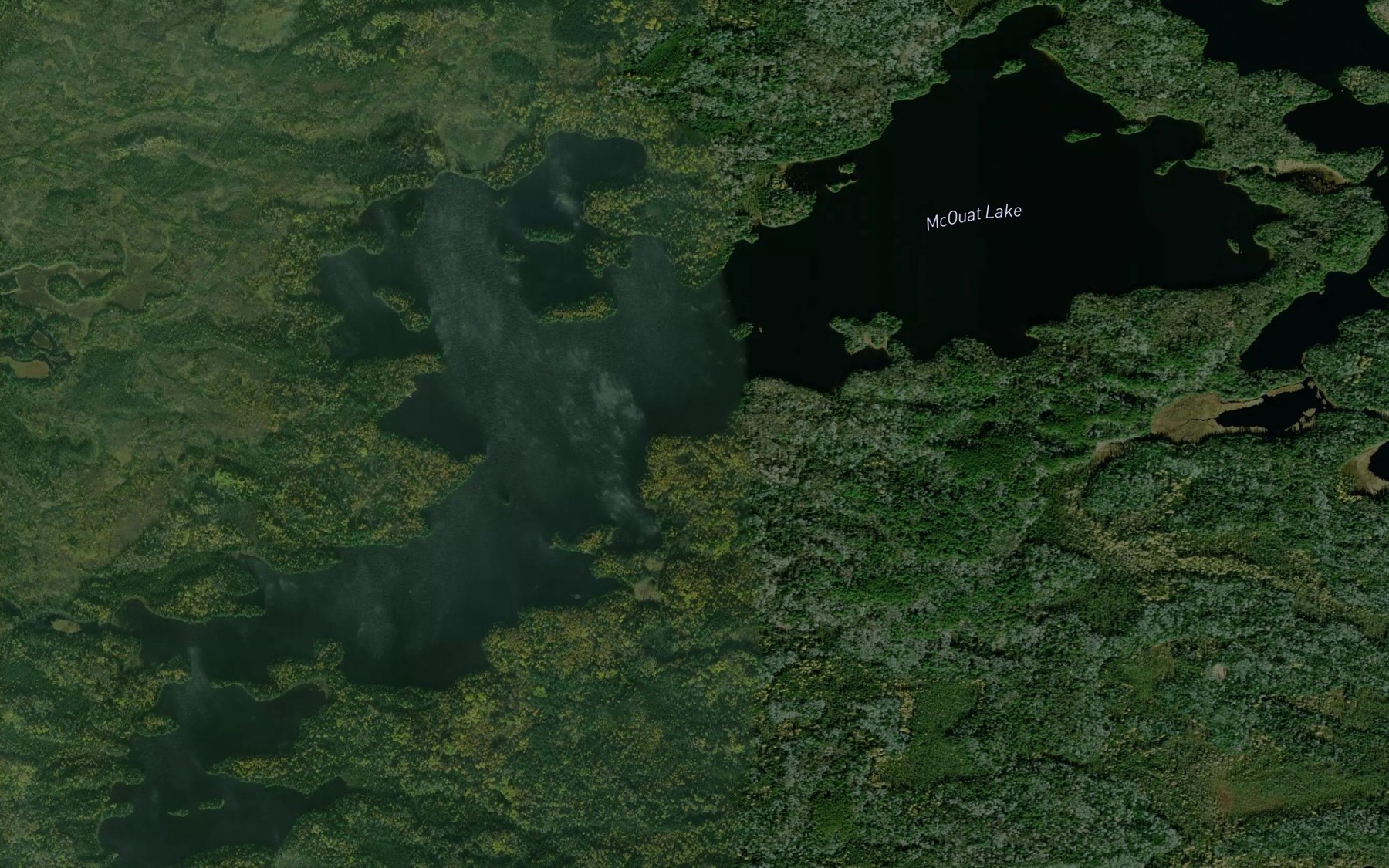 Satellite map of the McOuat Lake