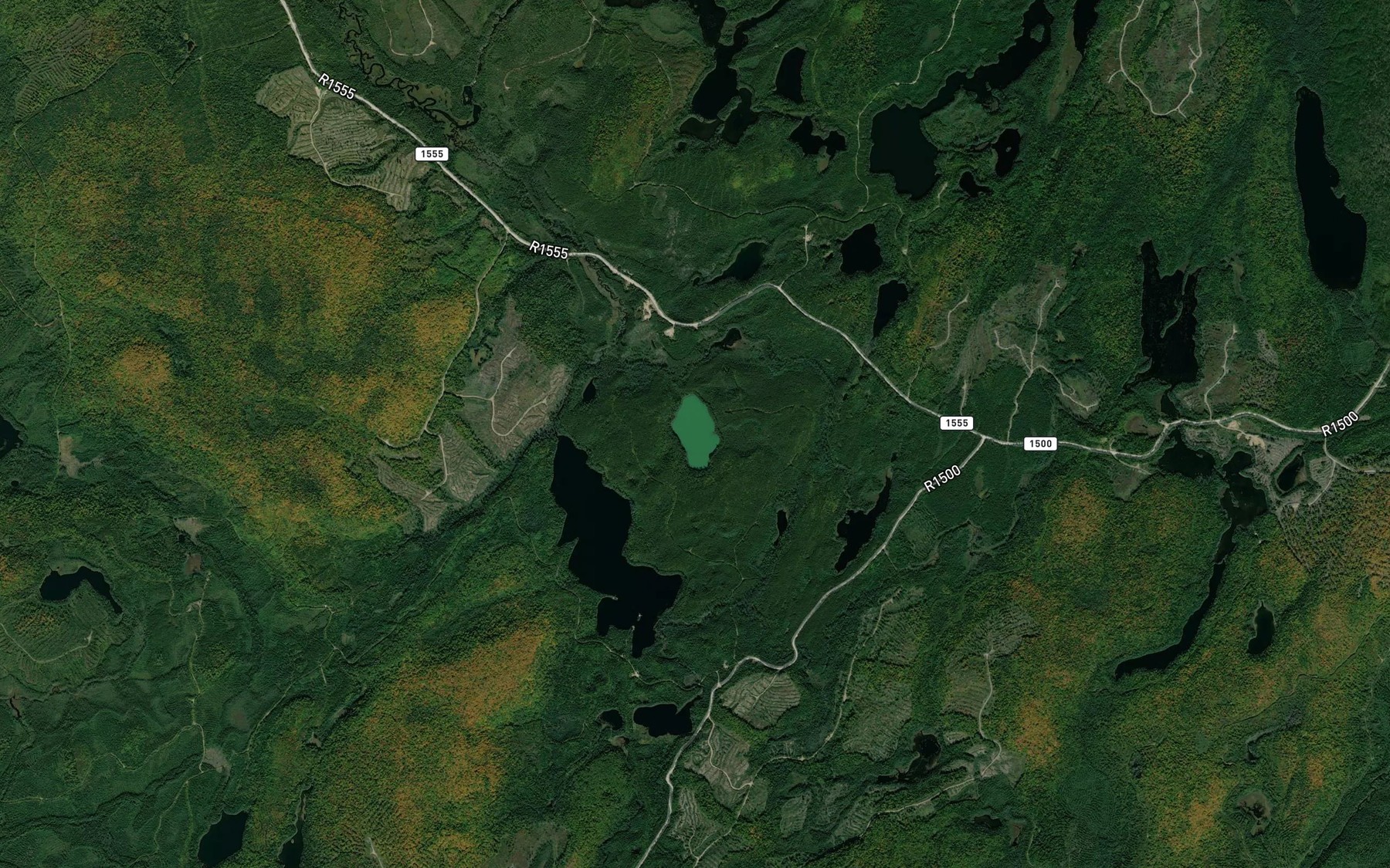 Satellite map of the Lac Vert