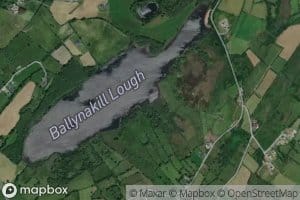 Ballynakill Lough