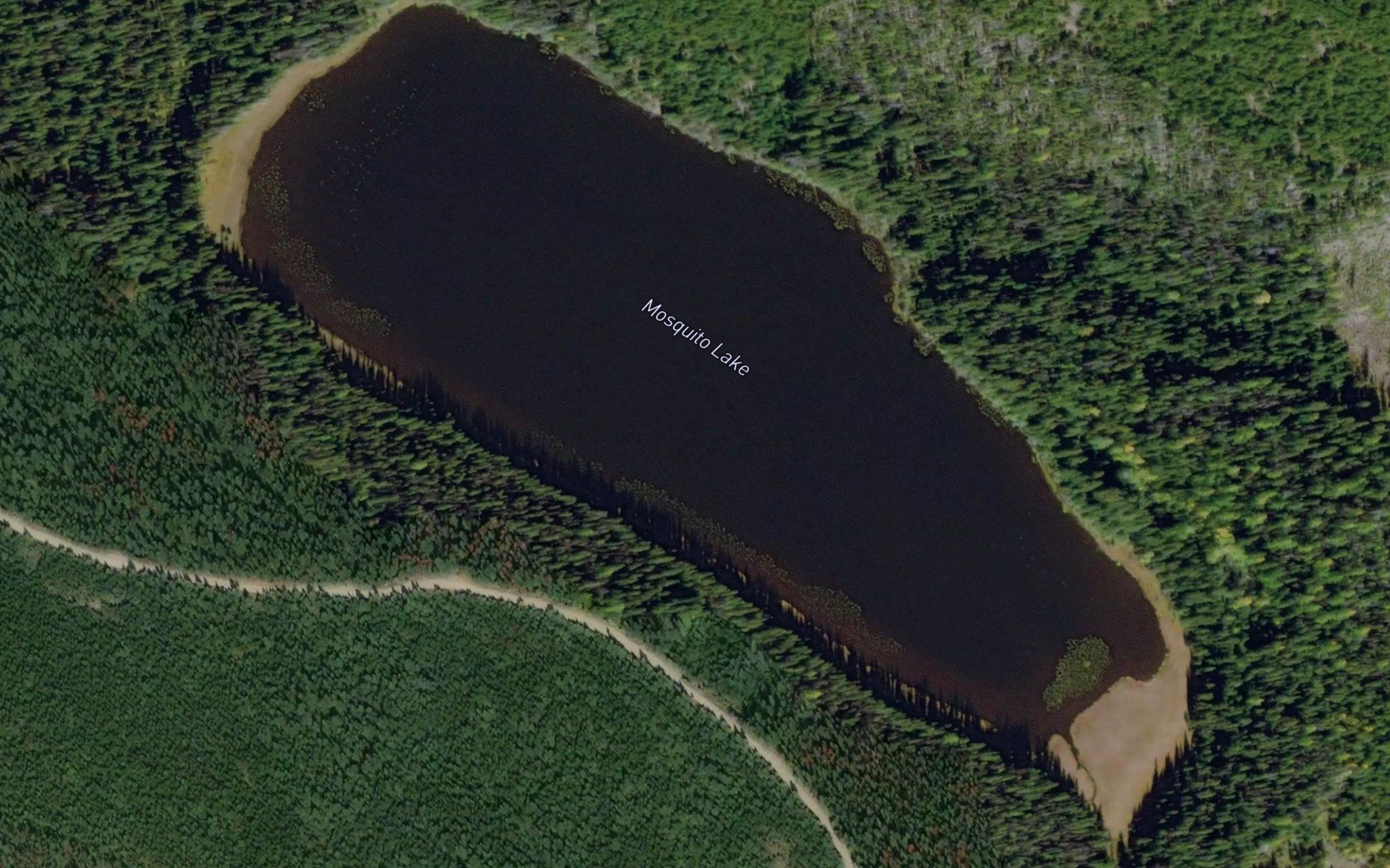 Mosquito Lake
