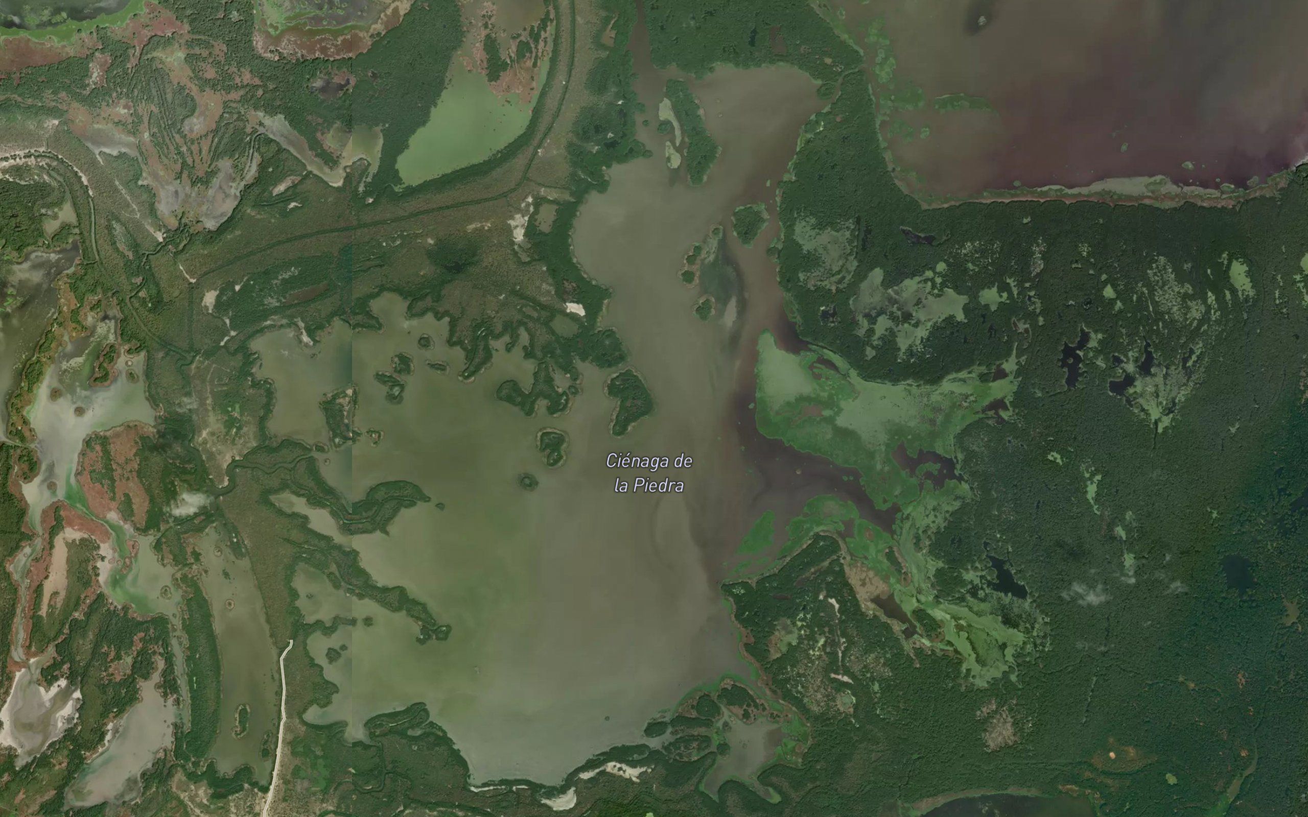 Cienaga de Las Piedras