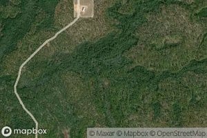 Painter Horselot Branch