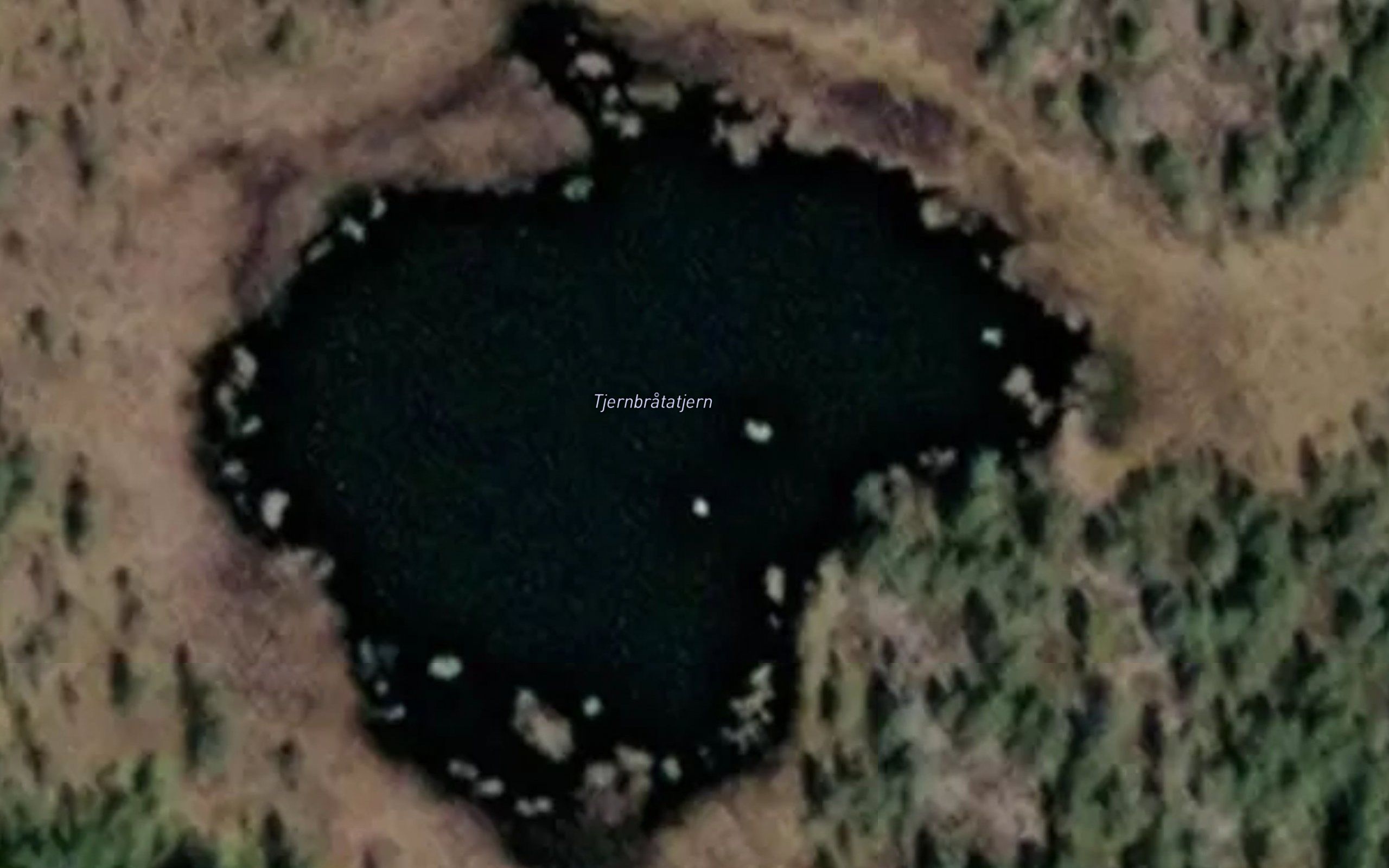 Tjernbratatjern