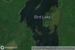 Bird Lake