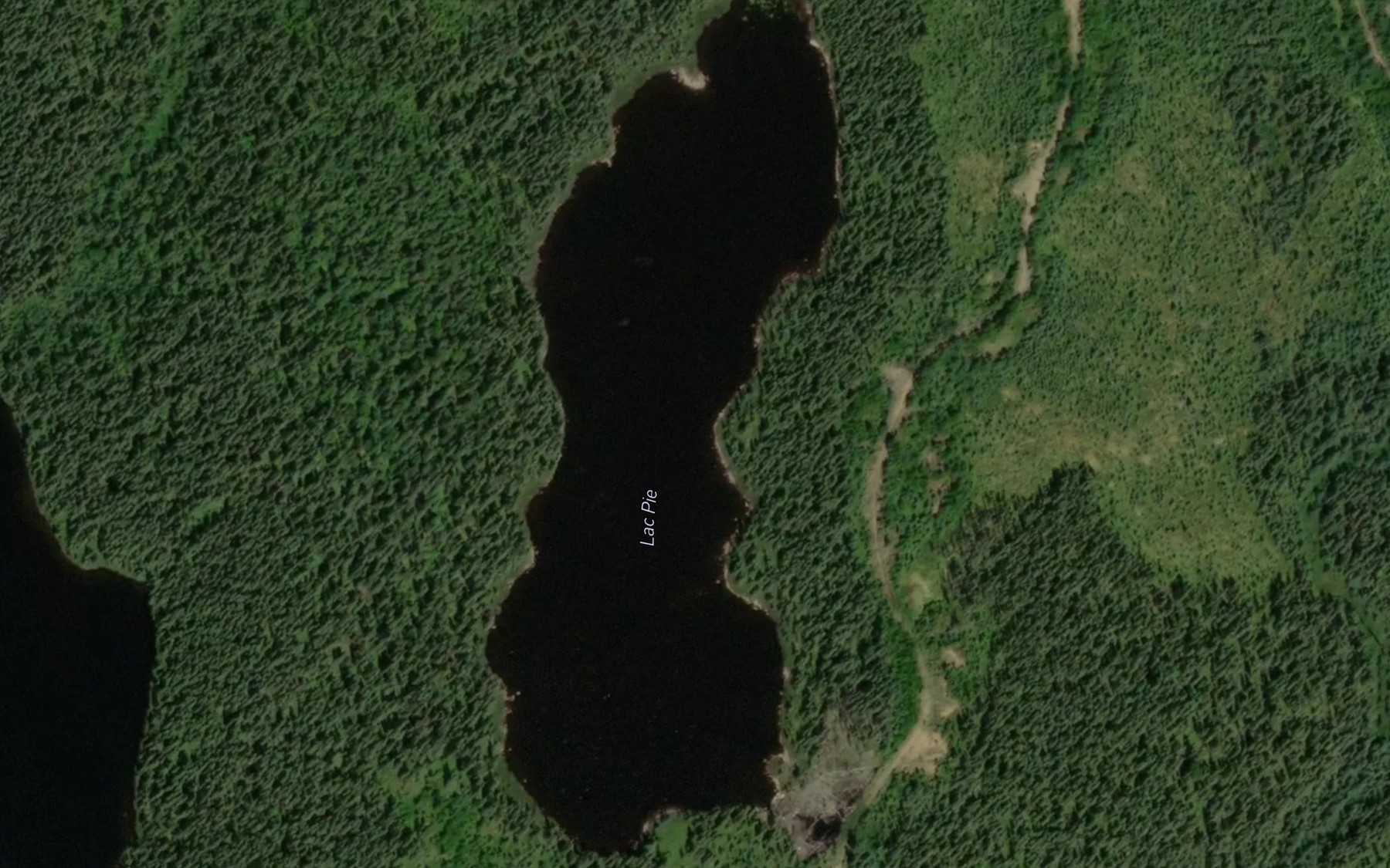 Satellite map of the Lac Pie