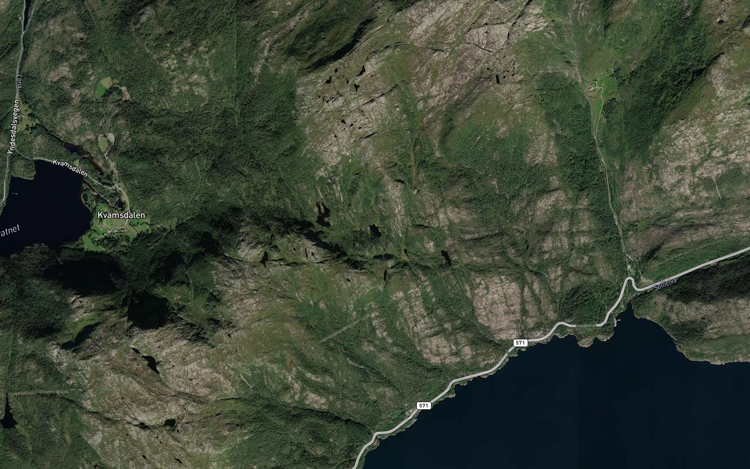 Vardetjorna