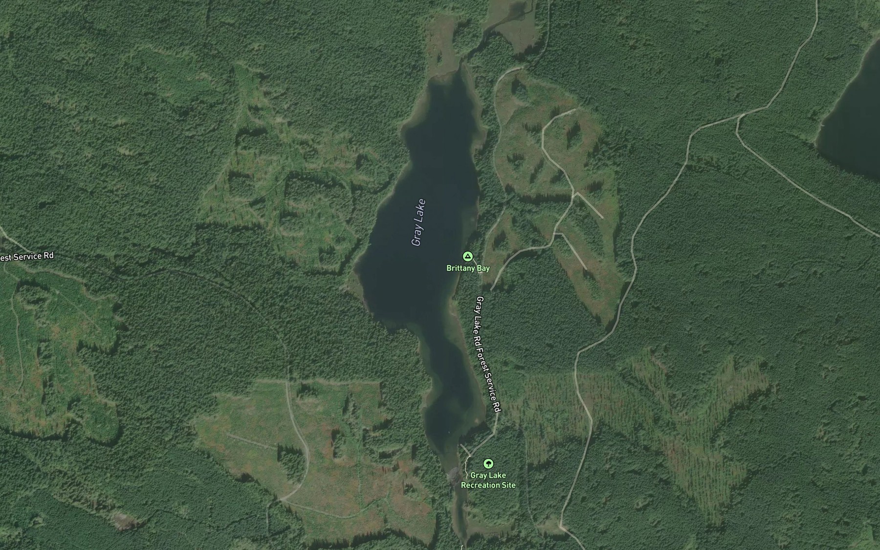 Satellite map of the Gray Lake