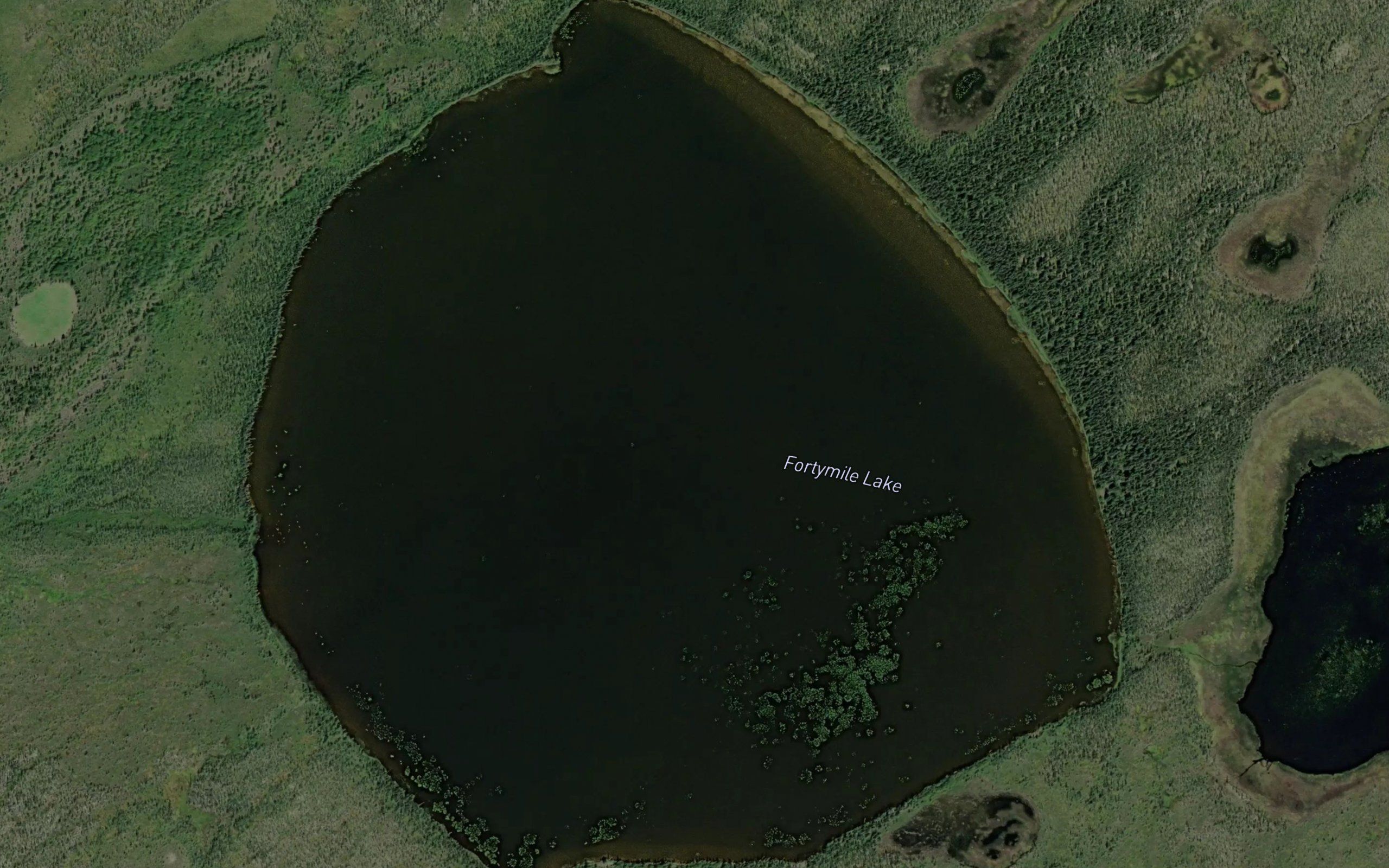 Fortymile Lake