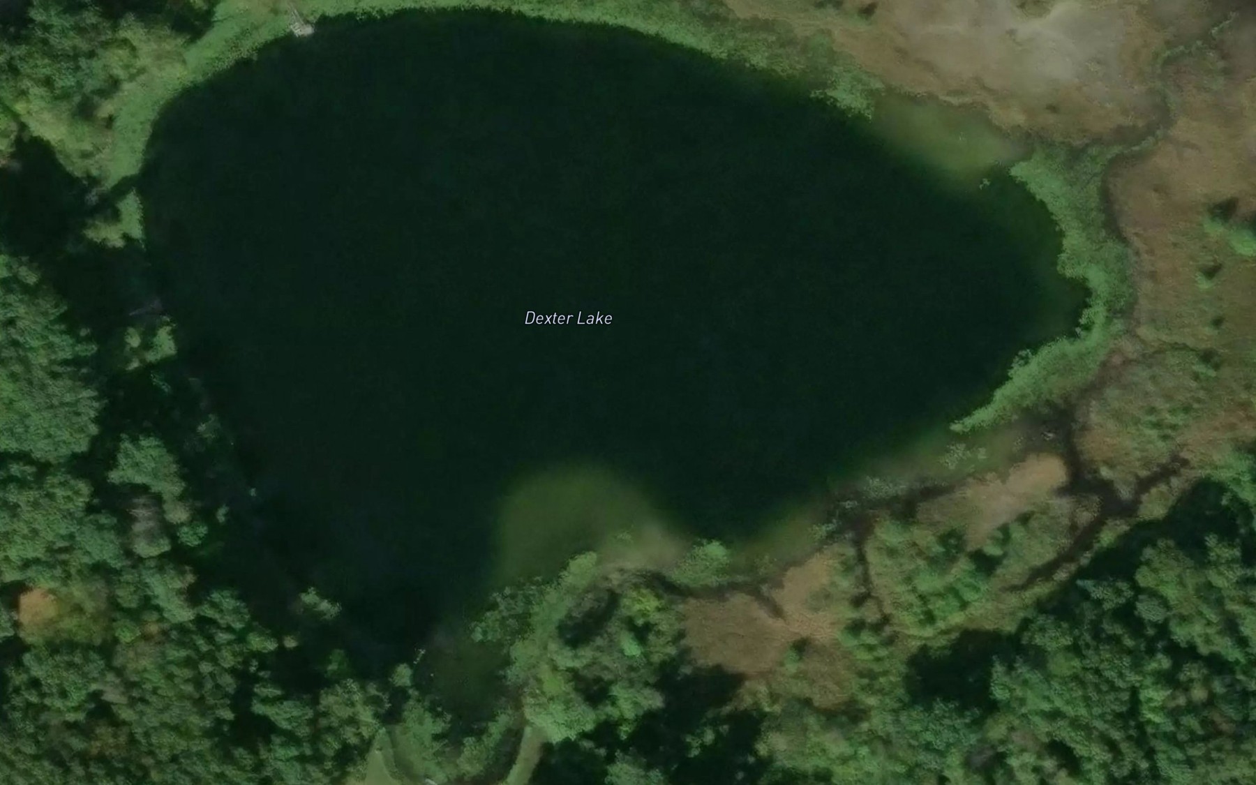 Satellite map of the Dexter Lake