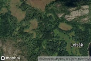 Leisakelva