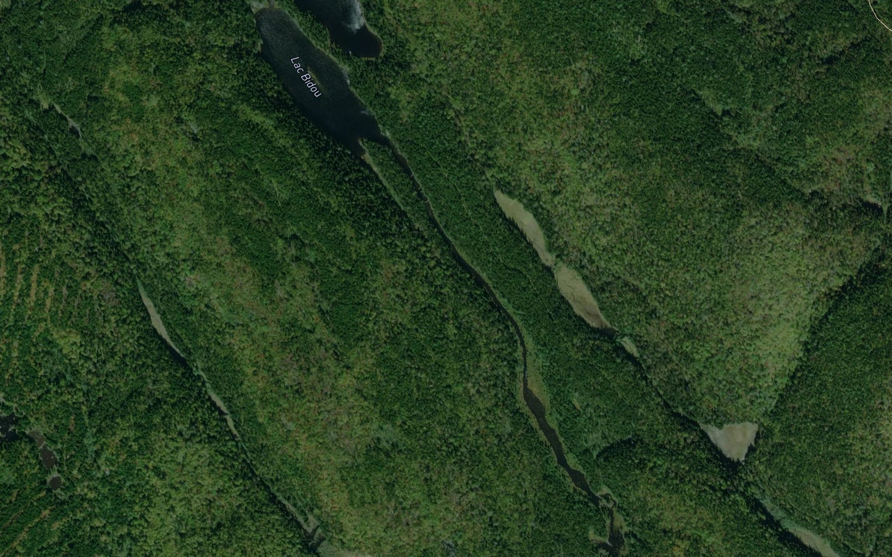 Satellite map of the Lac Bidou
