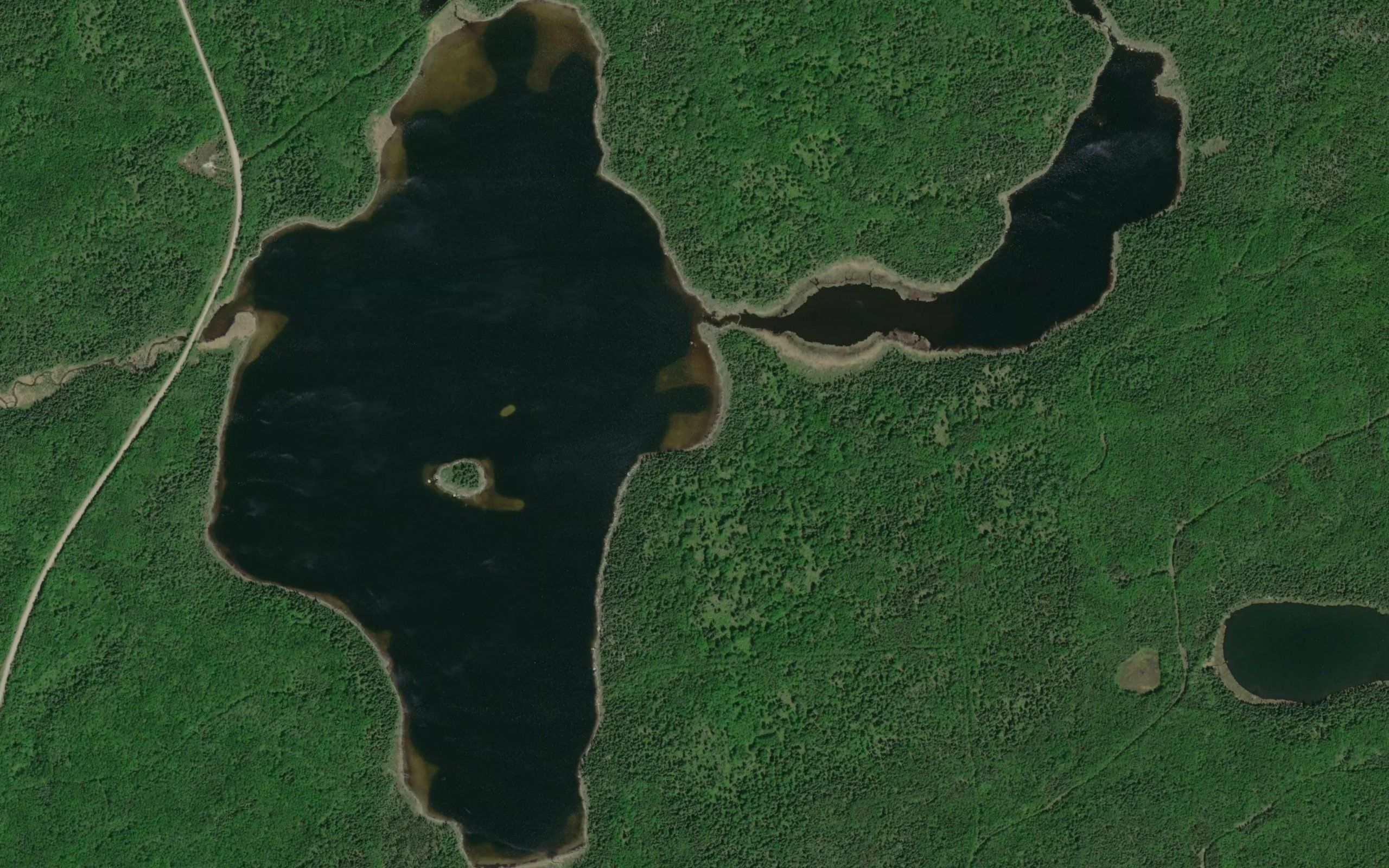 Cosens Lake