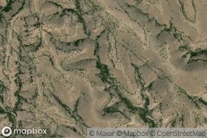 Mountain Lion Spring