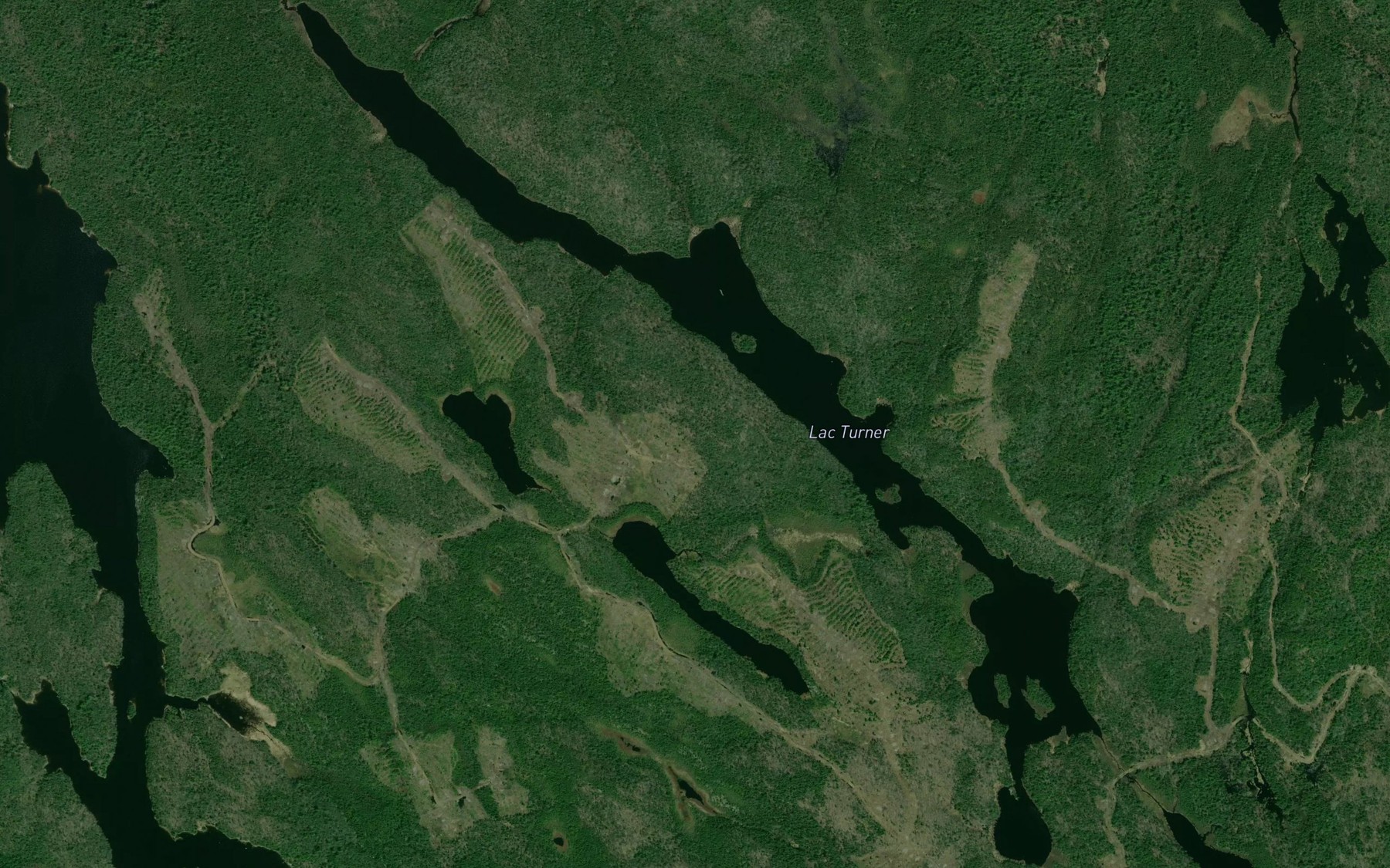 Satellite map of the Lac Turner