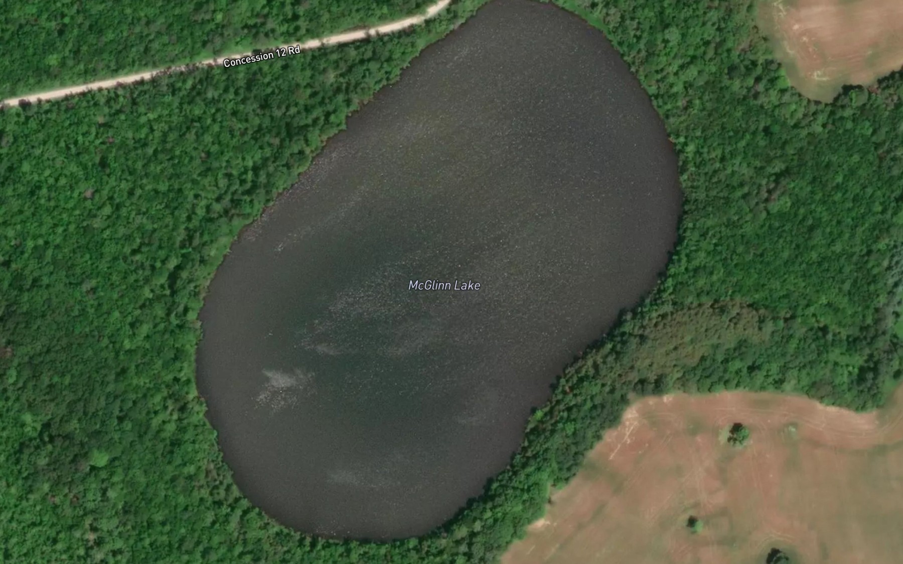 Satellite map of the McGlinn Lake