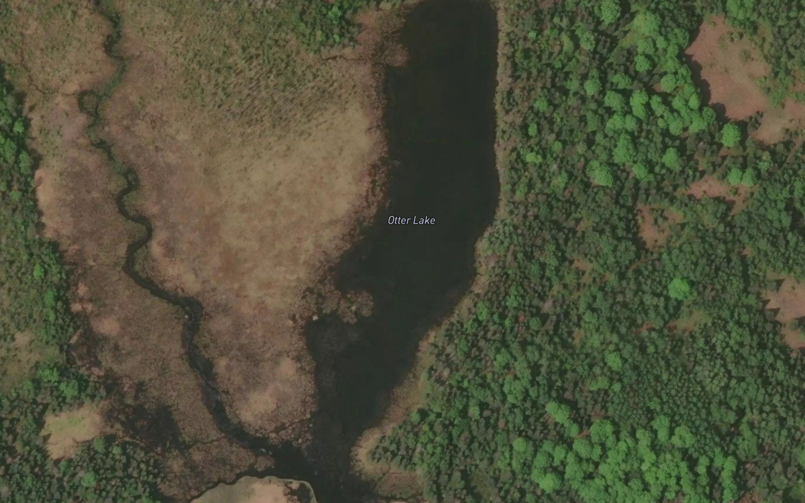 Otter Lake