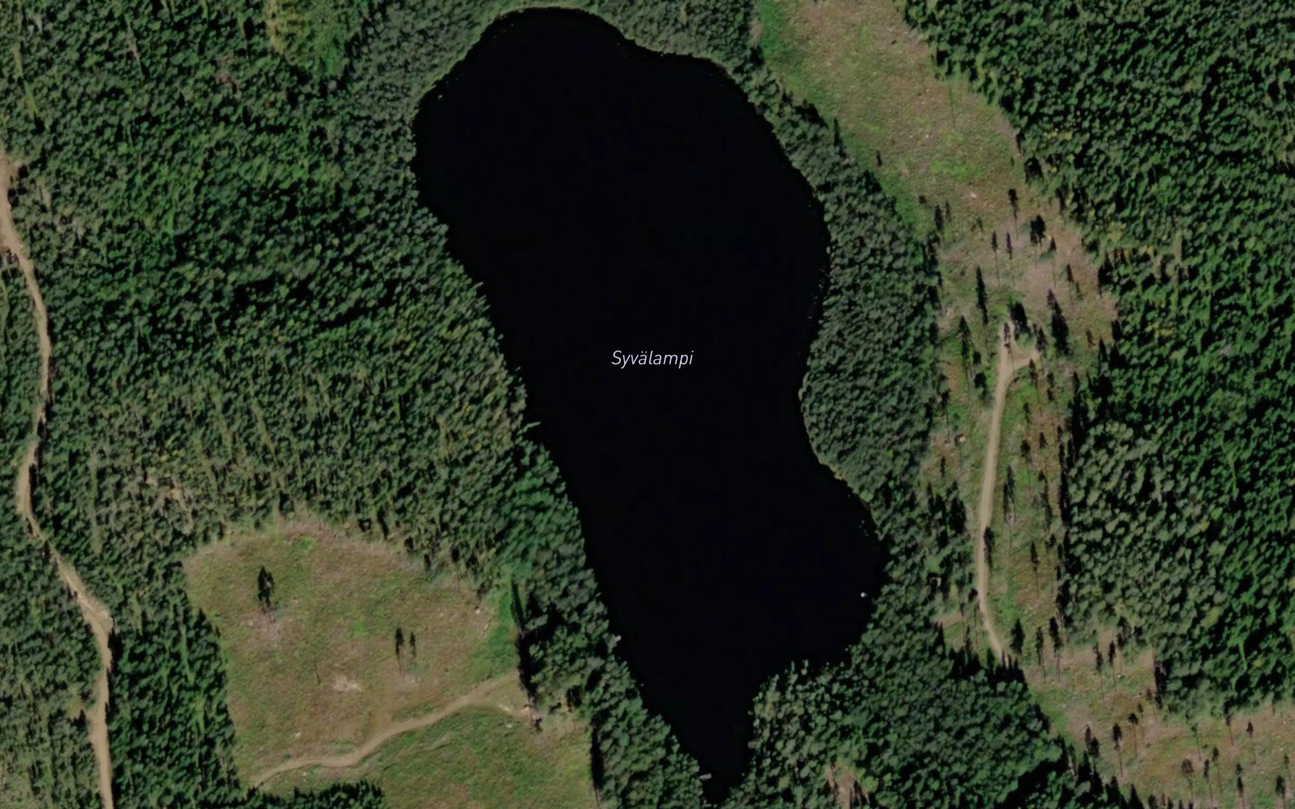 Syvalampi