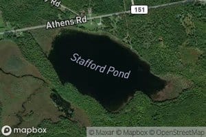 Stafford Pond