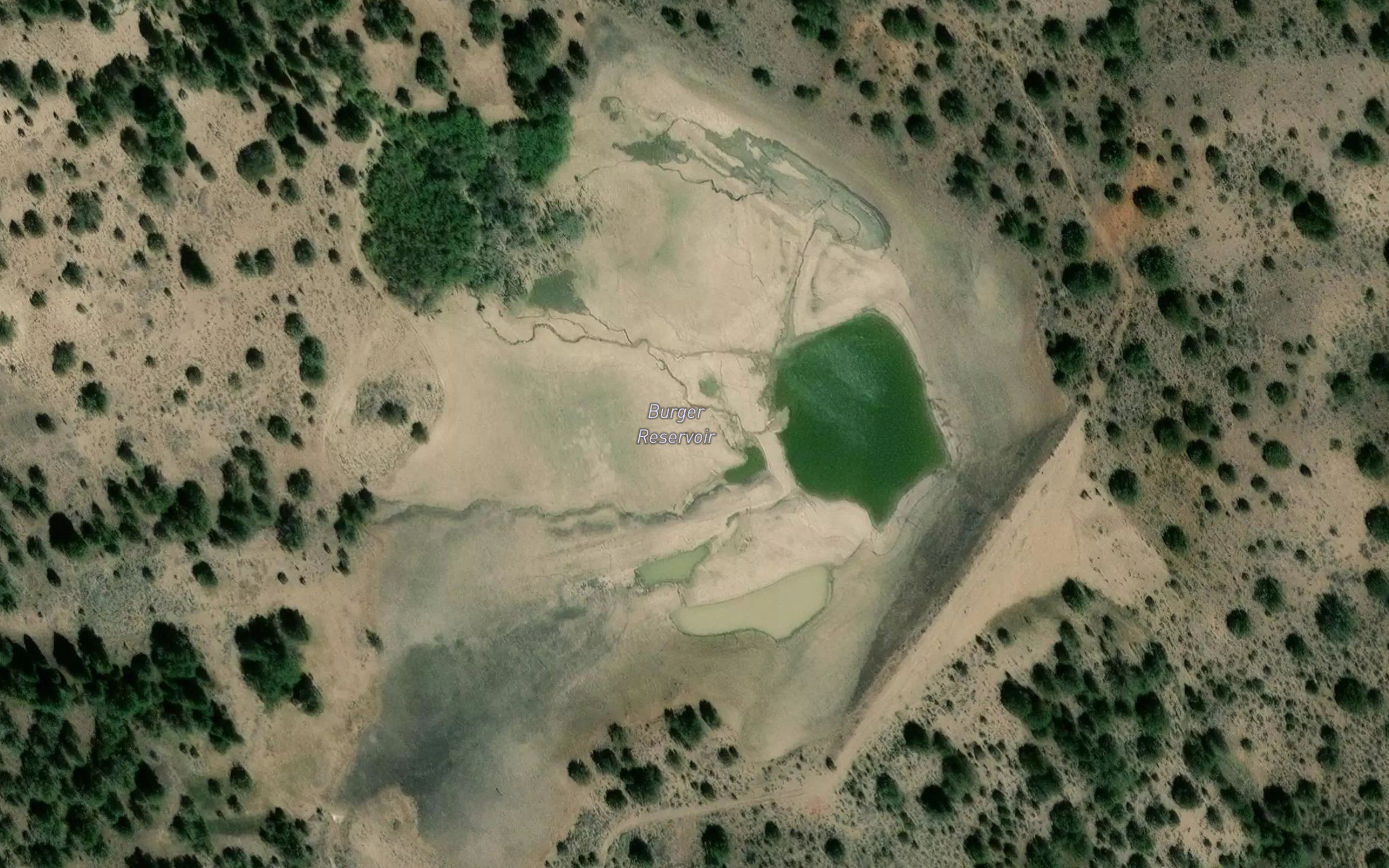 Burger Reservoir
