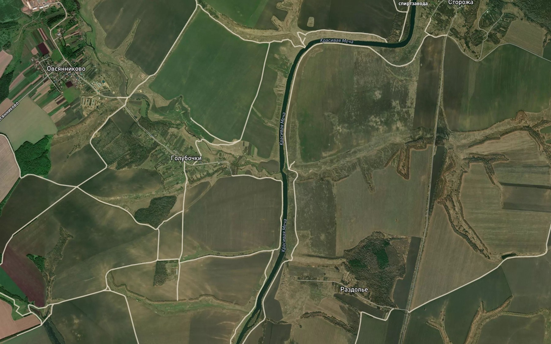 Satellite map of the Golubki