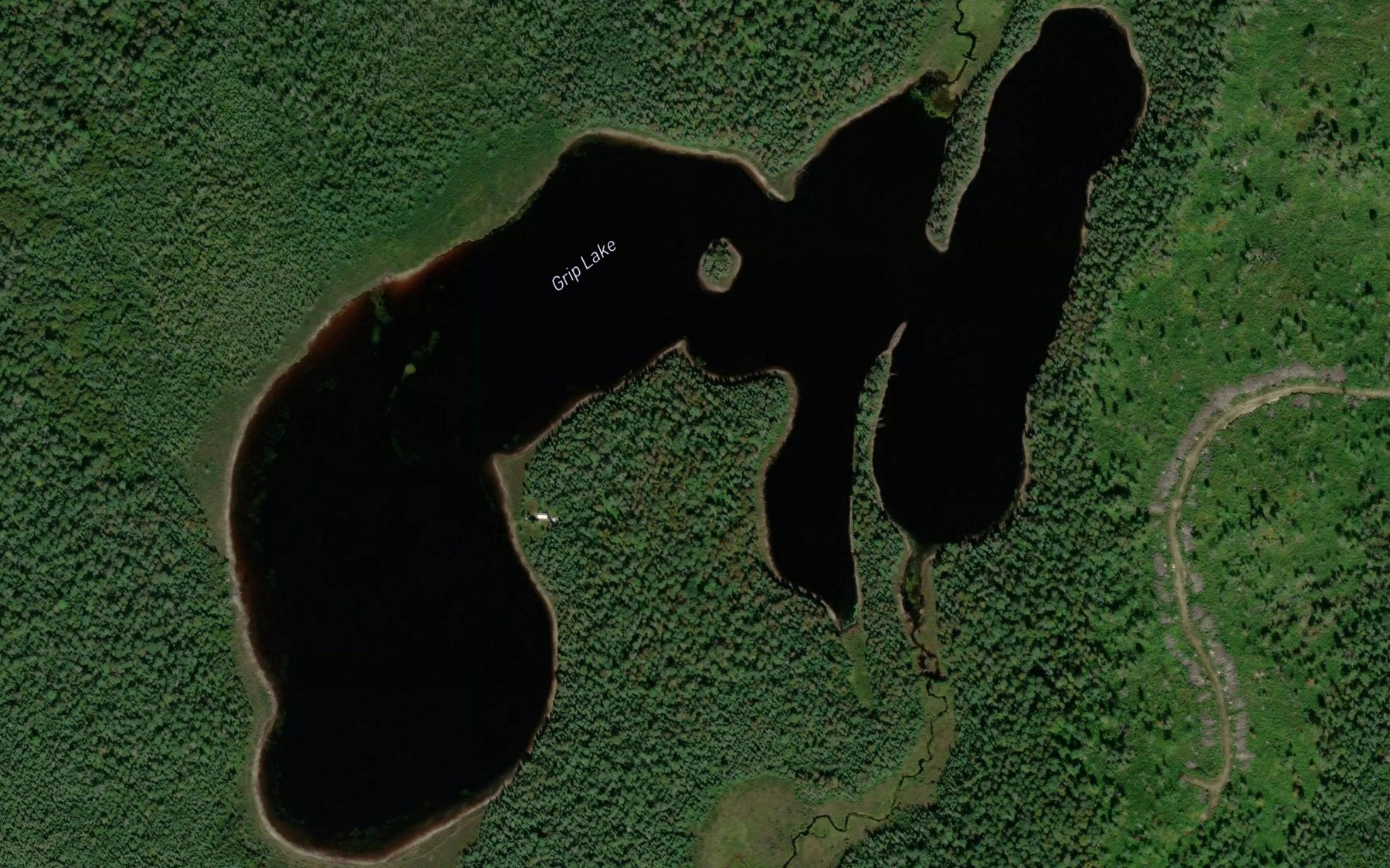 Satellite map of the Grip Lake