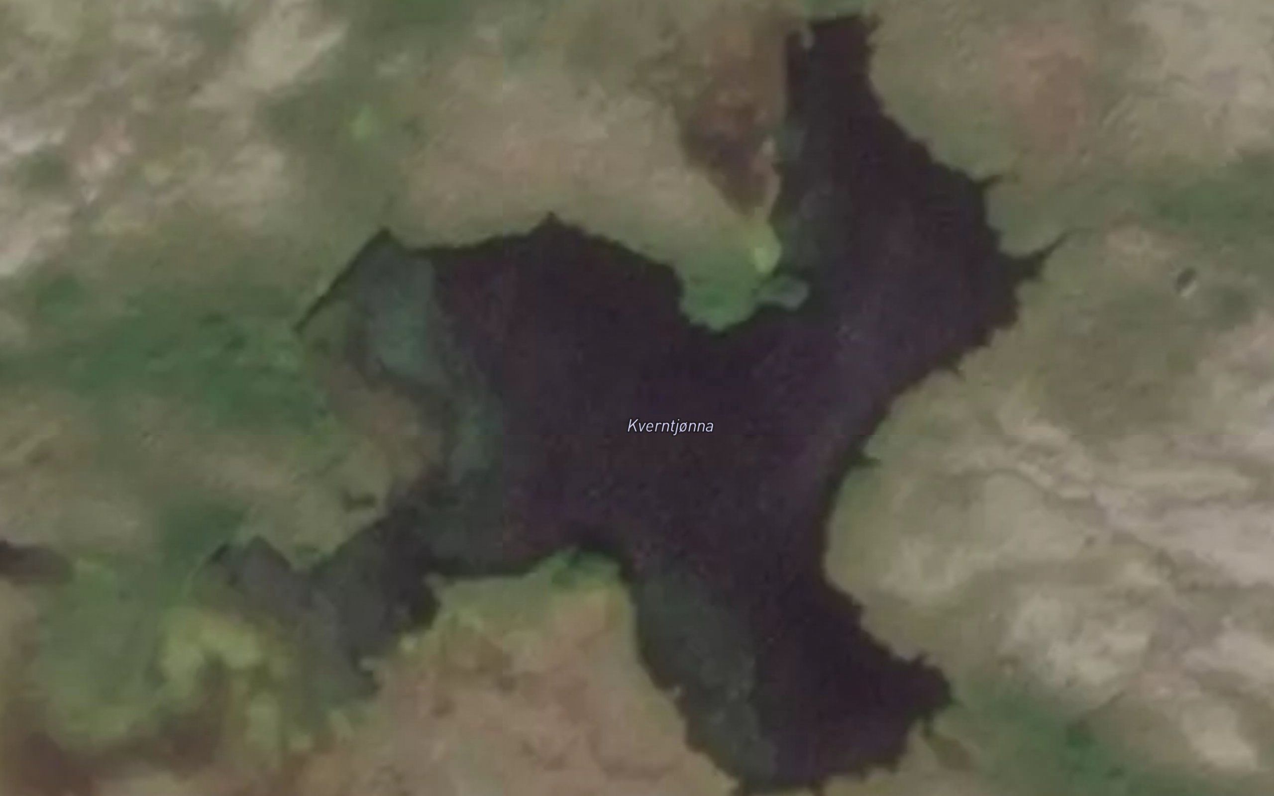 Kverntjorna