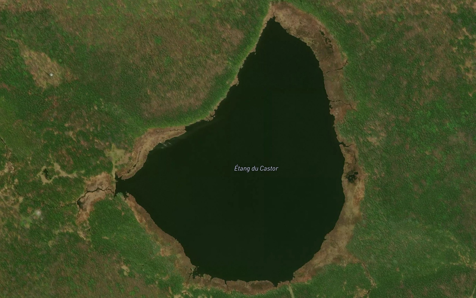 Satellite map of the Etang du Castor