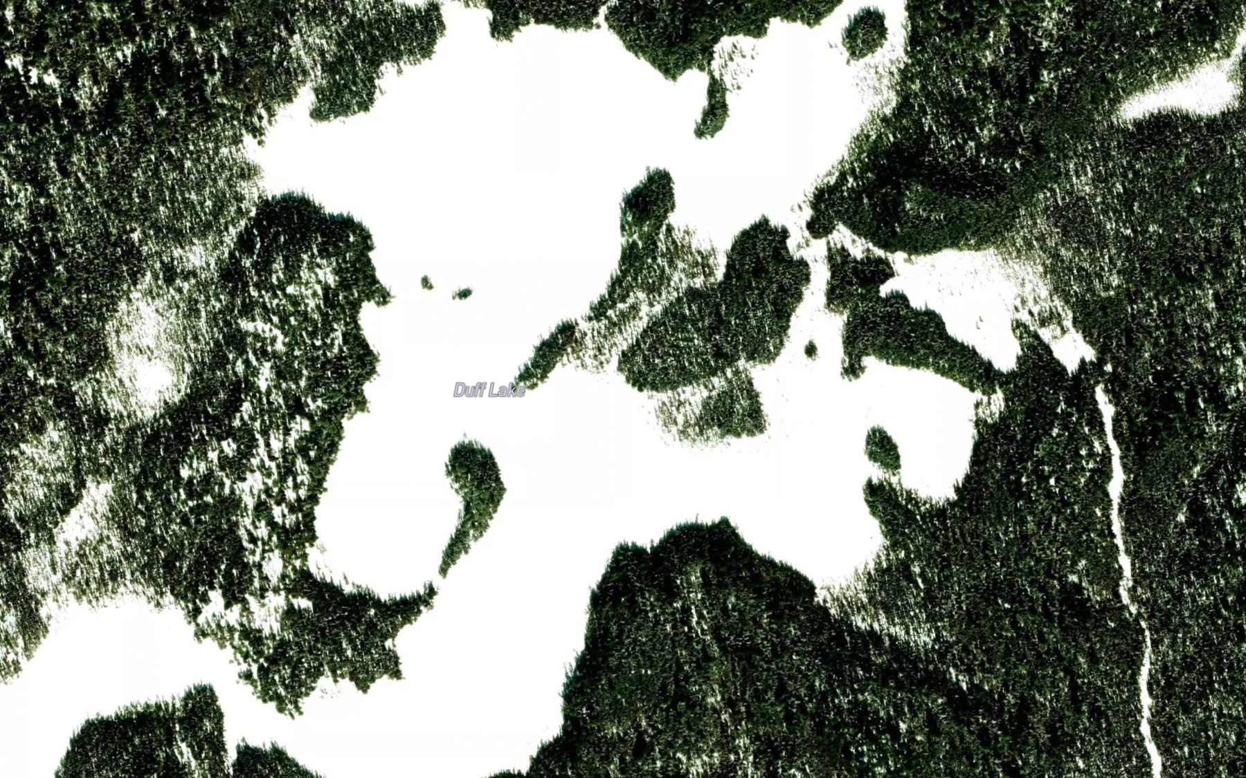 Satellite map of the Duff Lake