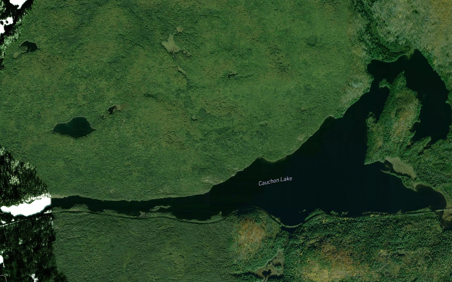 Satellite map of the Cauchon Lake