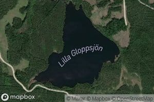 Lilla Gloppsjoen