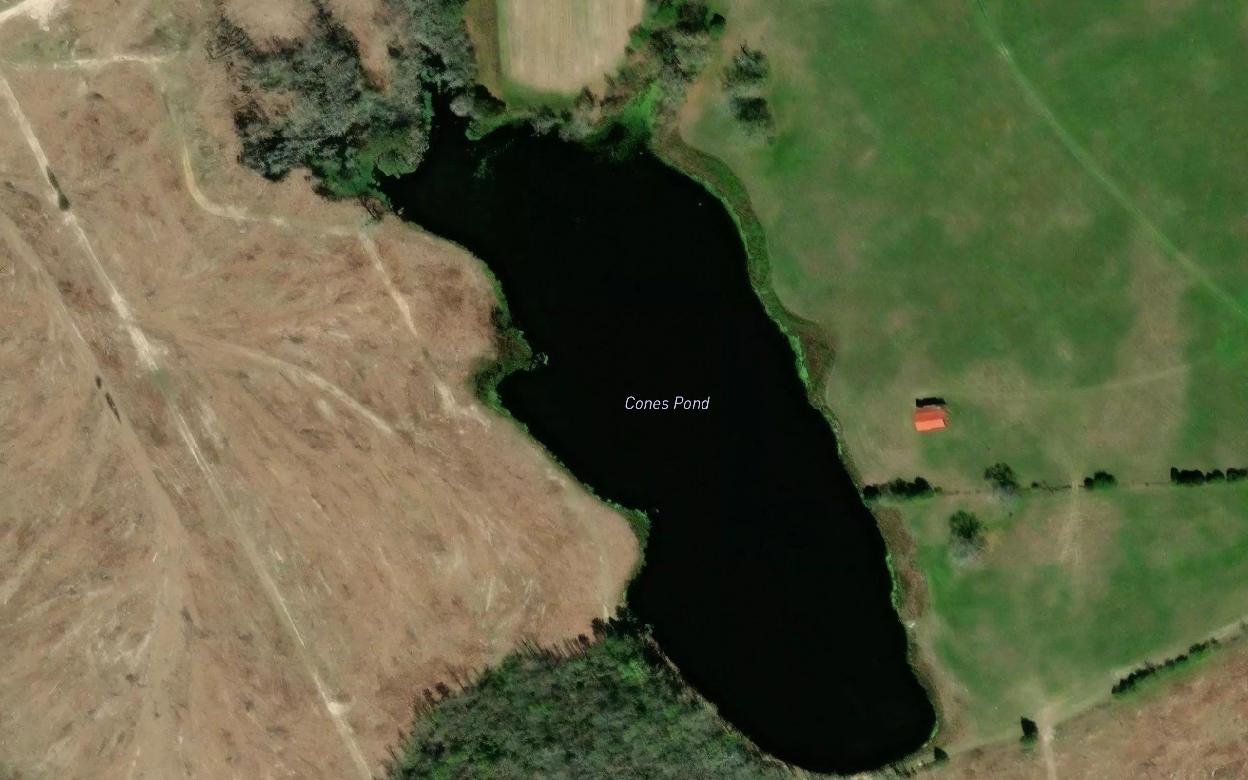 Cones Pond
