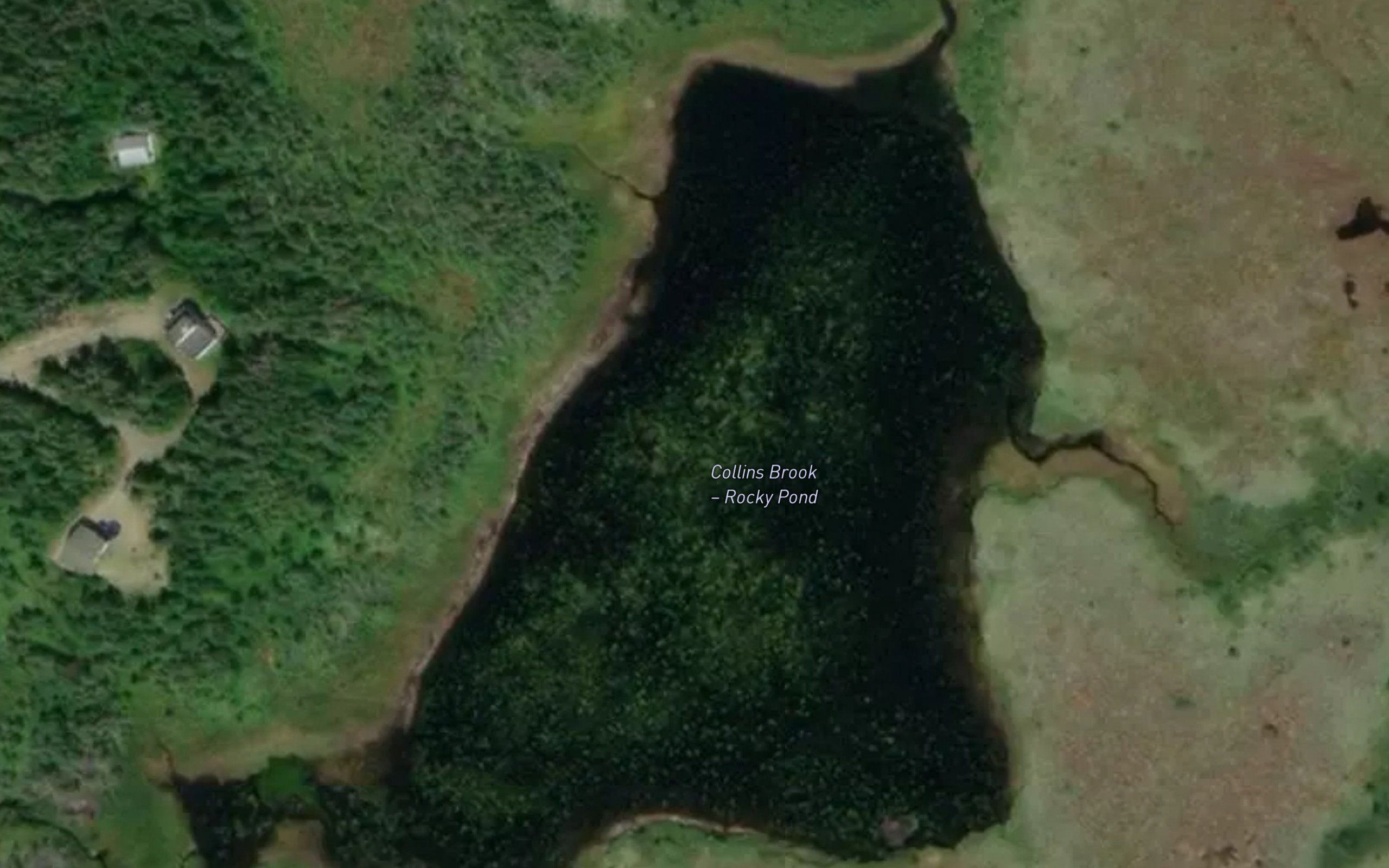 Rocky Pond