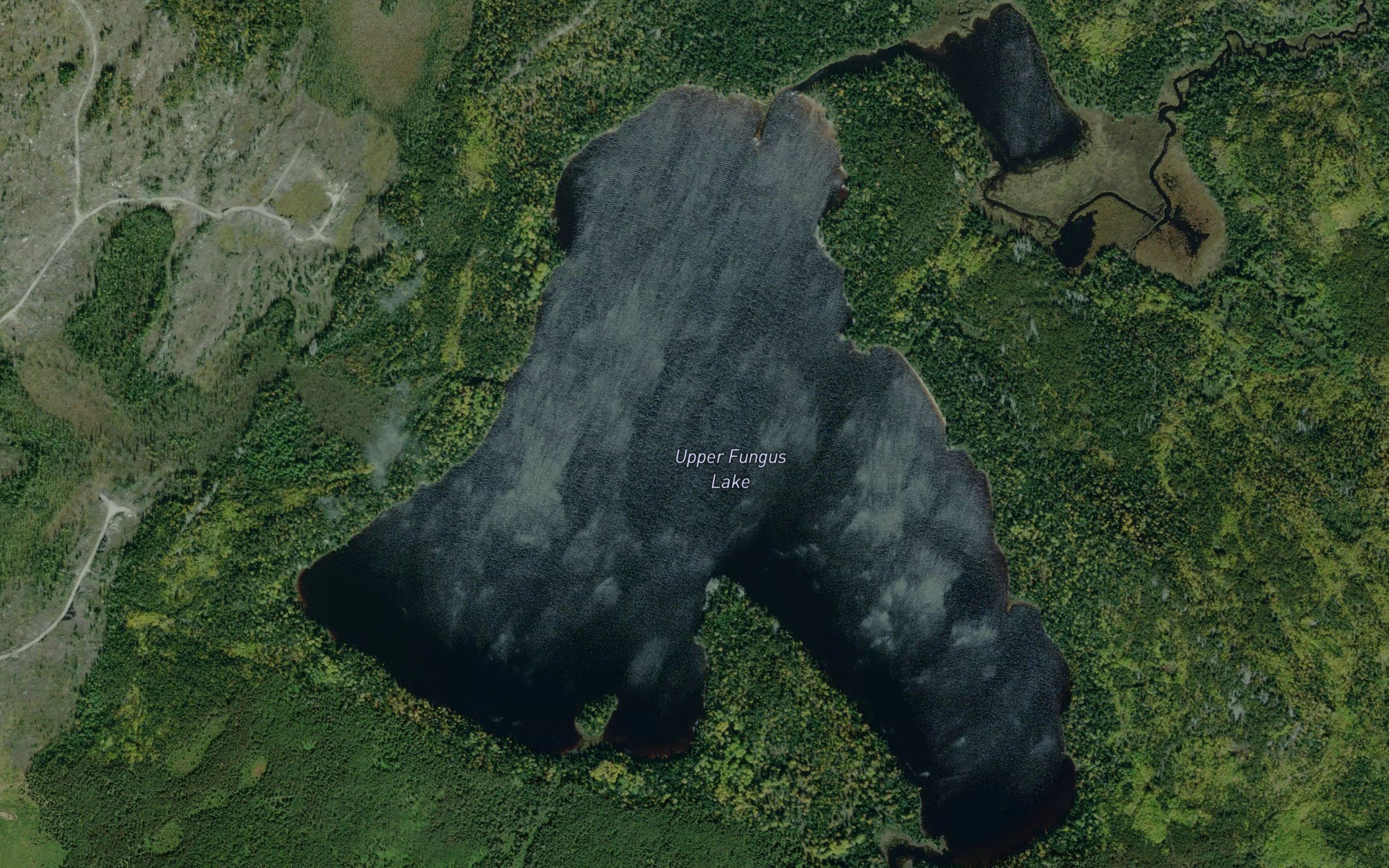 Upper Fungus Lake