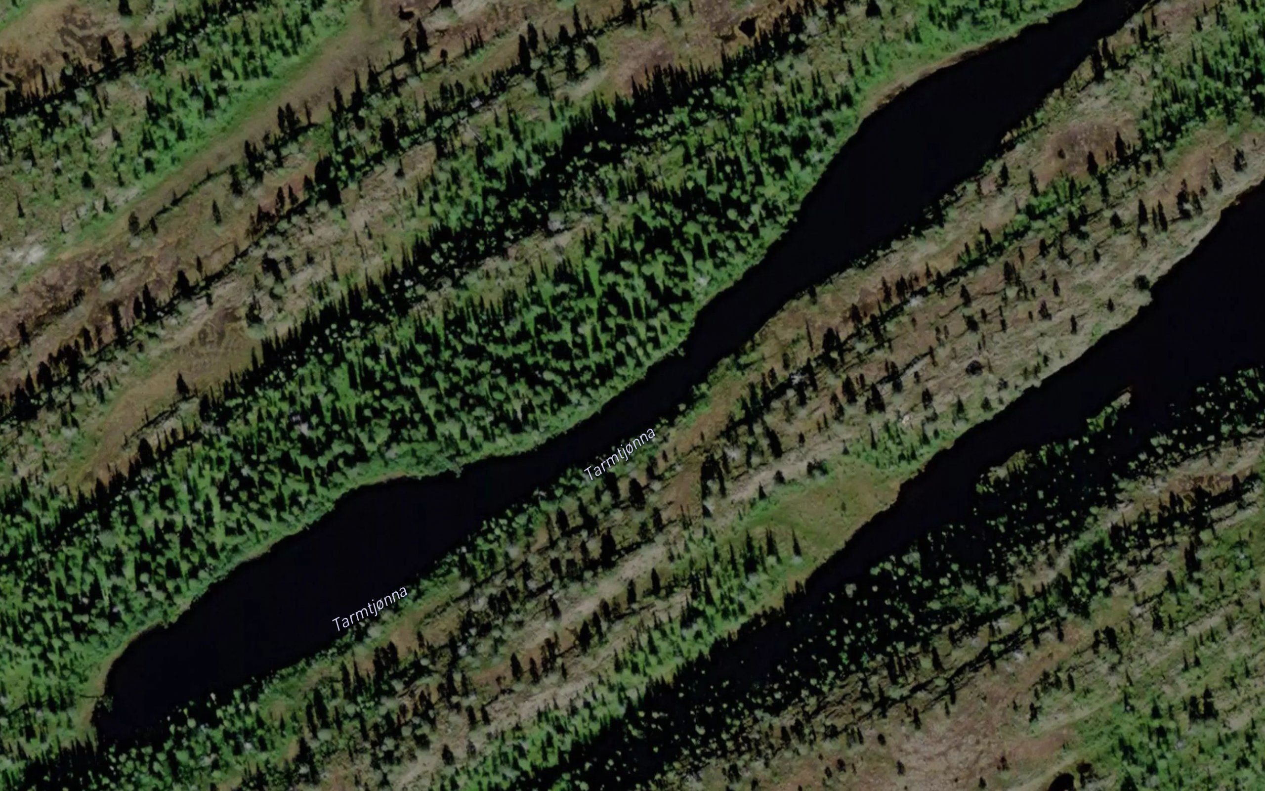 Tarmtjonna