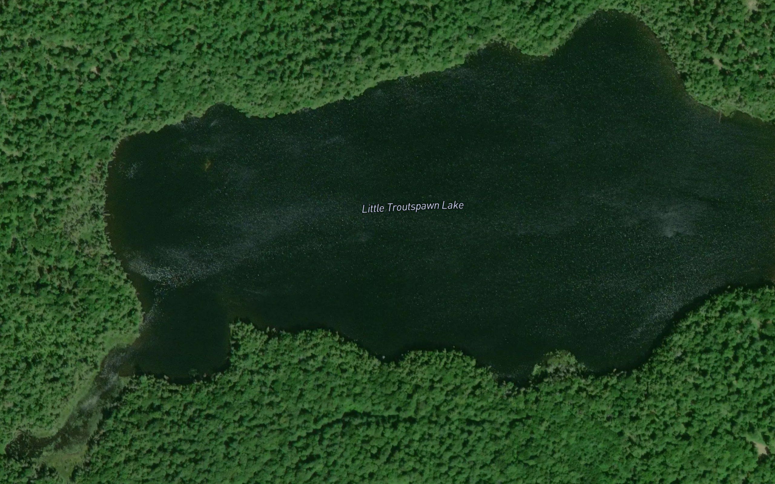 Little Troutspawn Lake