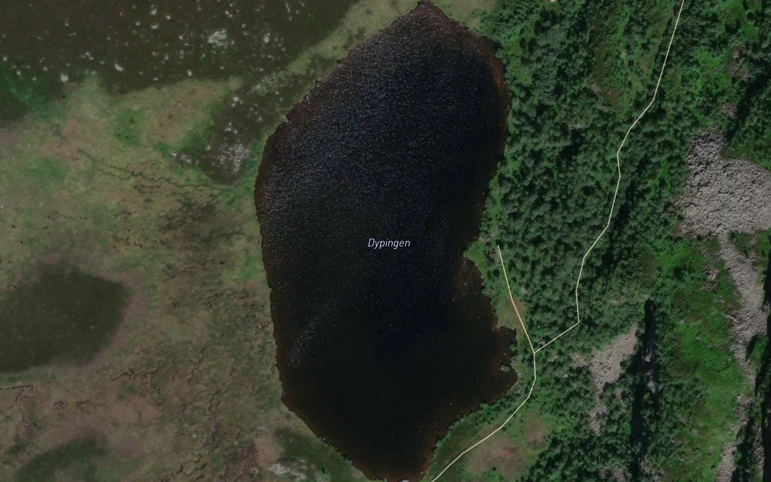 Dypningen