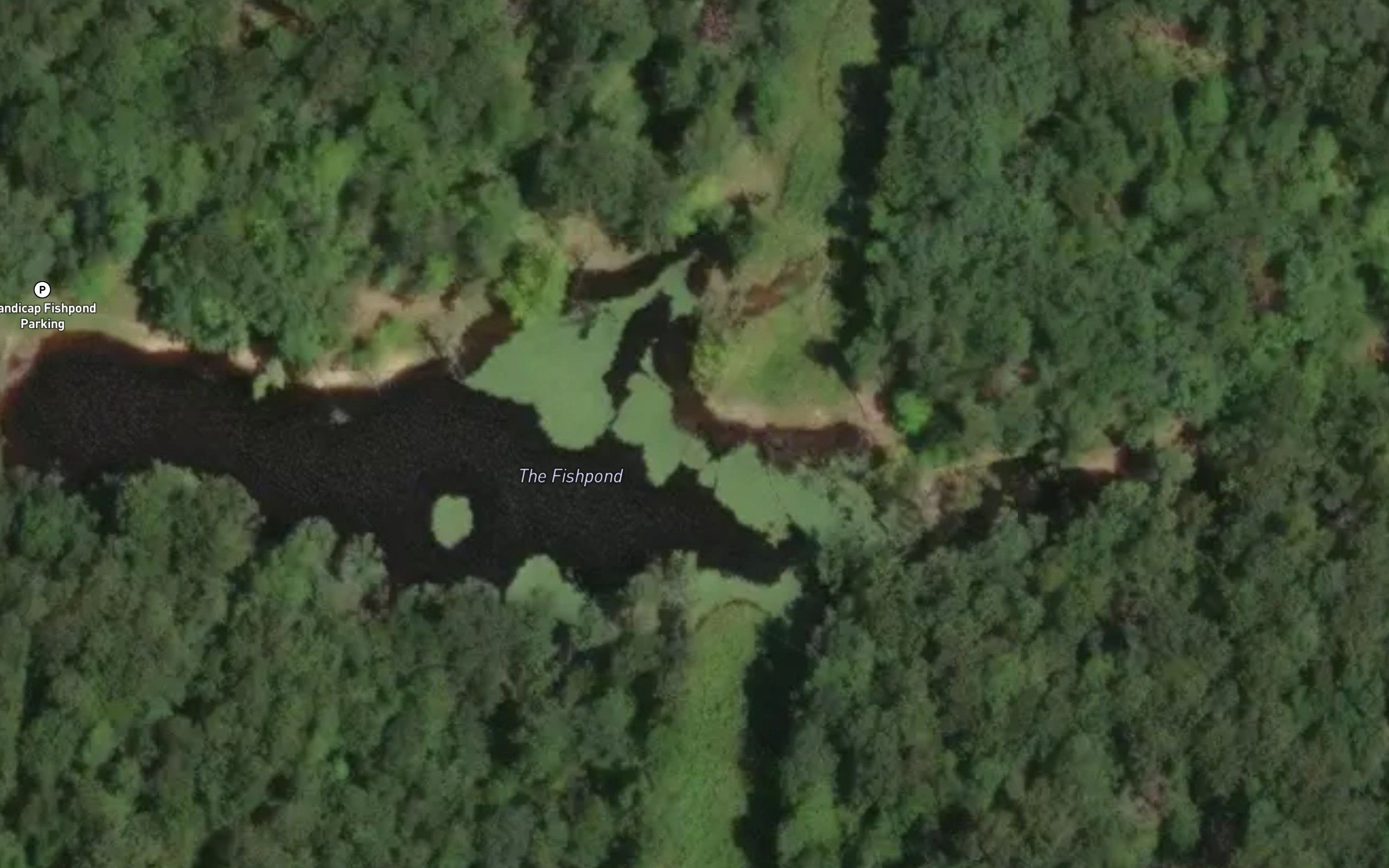 The Fishpond