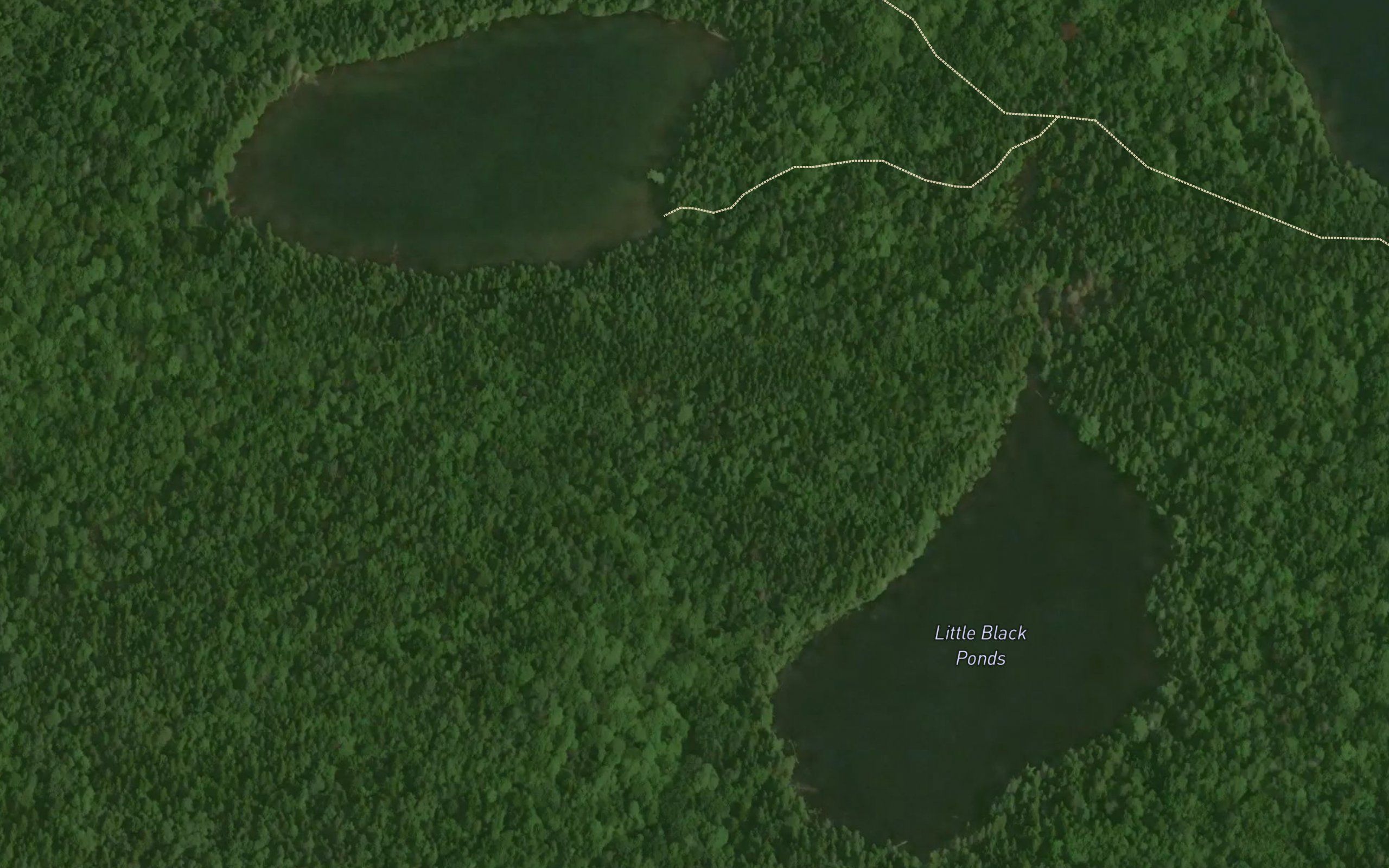 Little Black Ponds